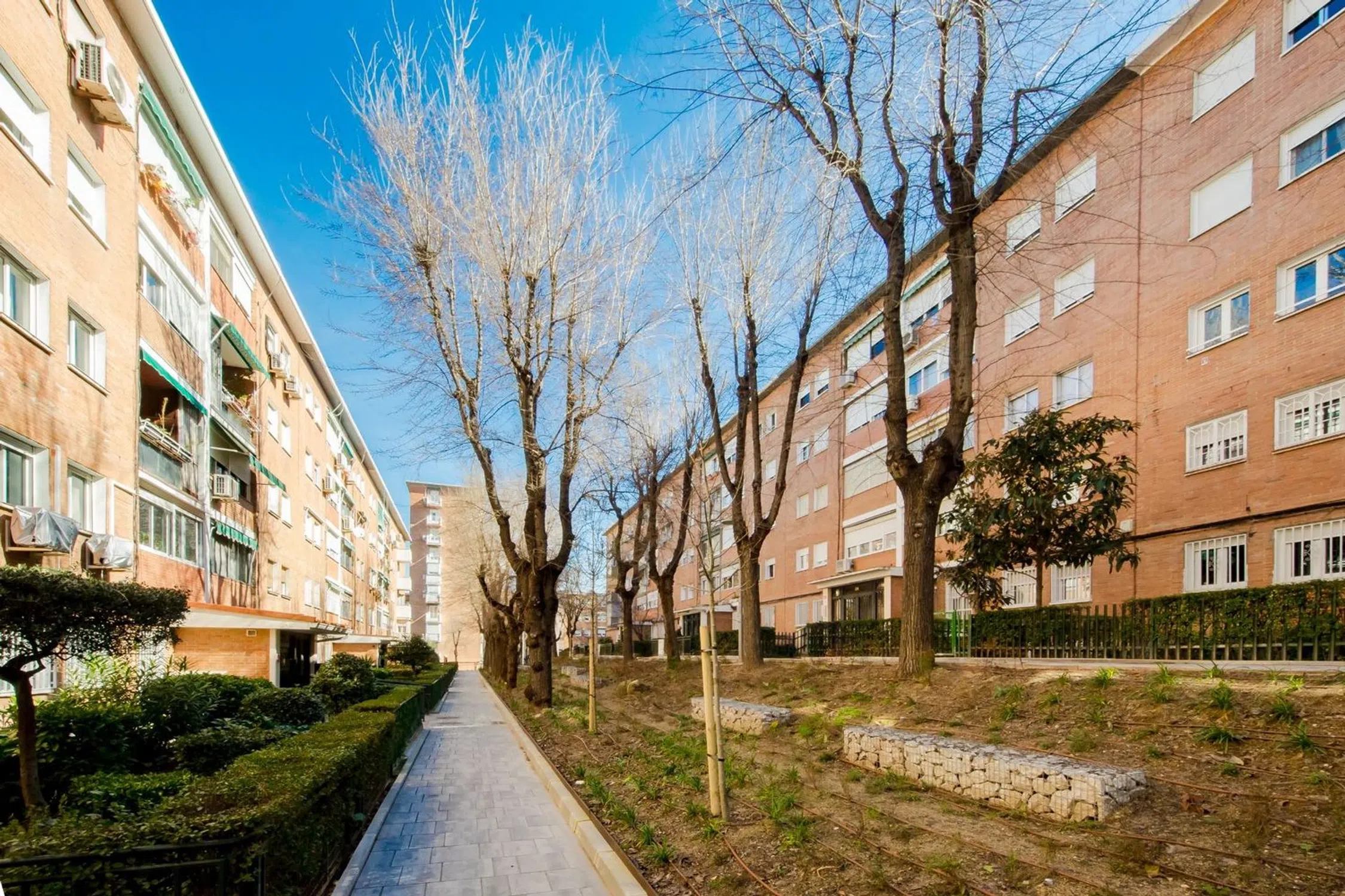 Piso - Photo 6