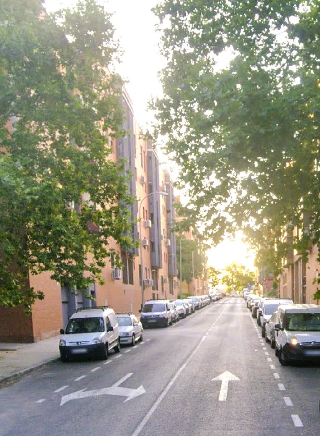 Piso en CL Maiz - Photo 2