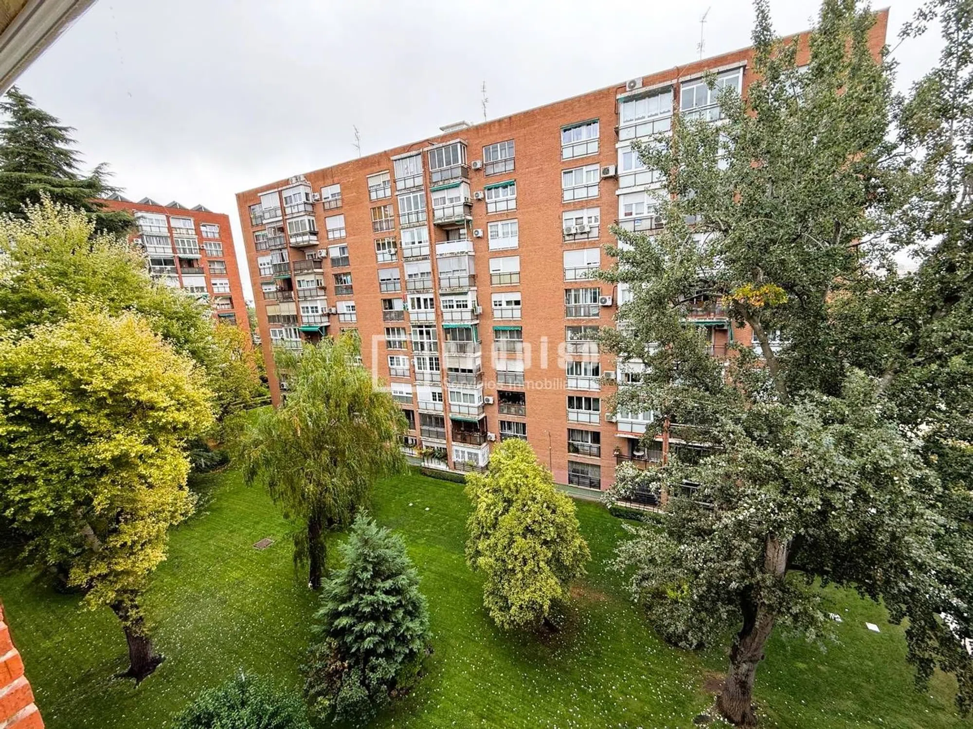 Piso