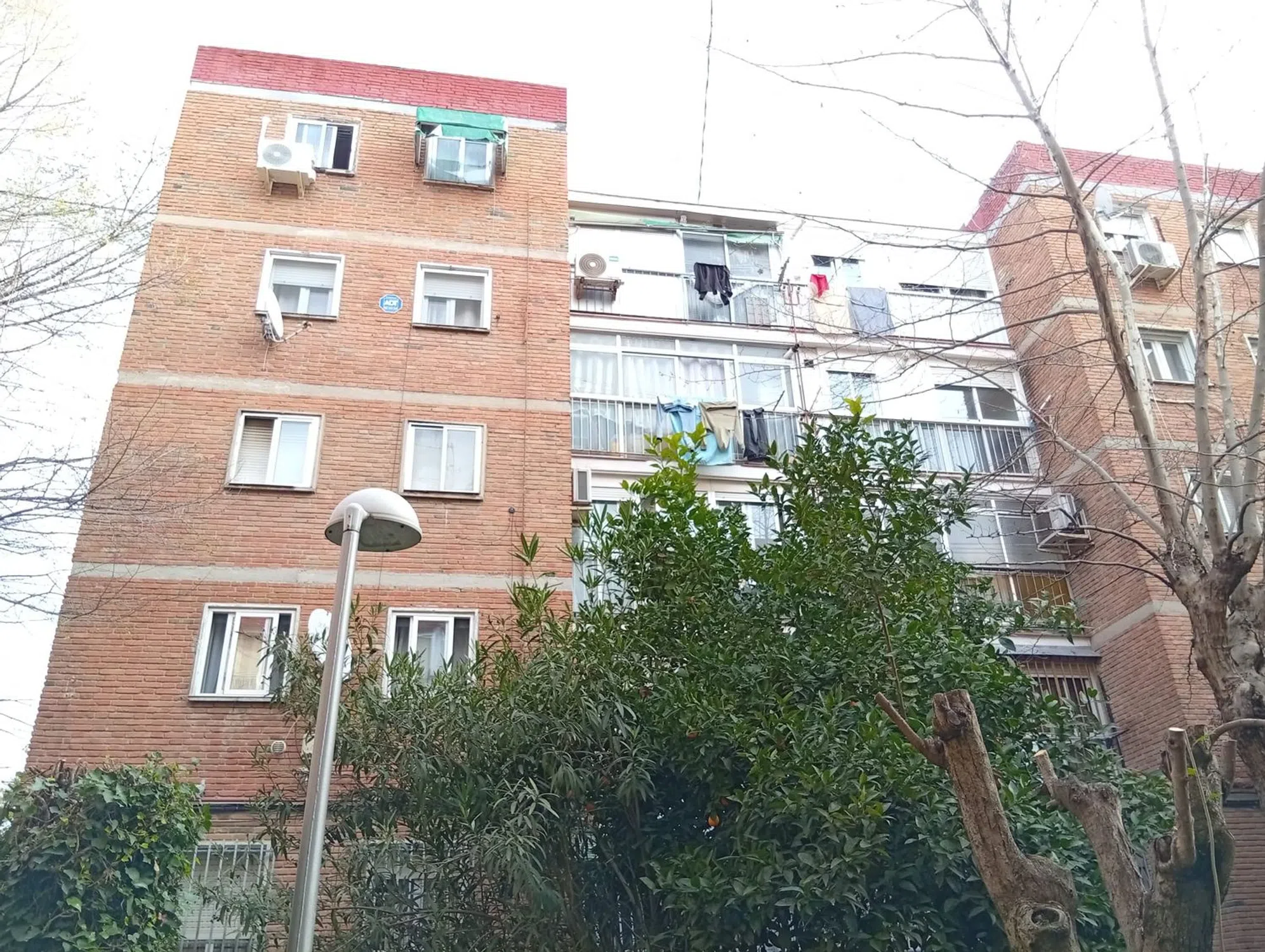 Piso