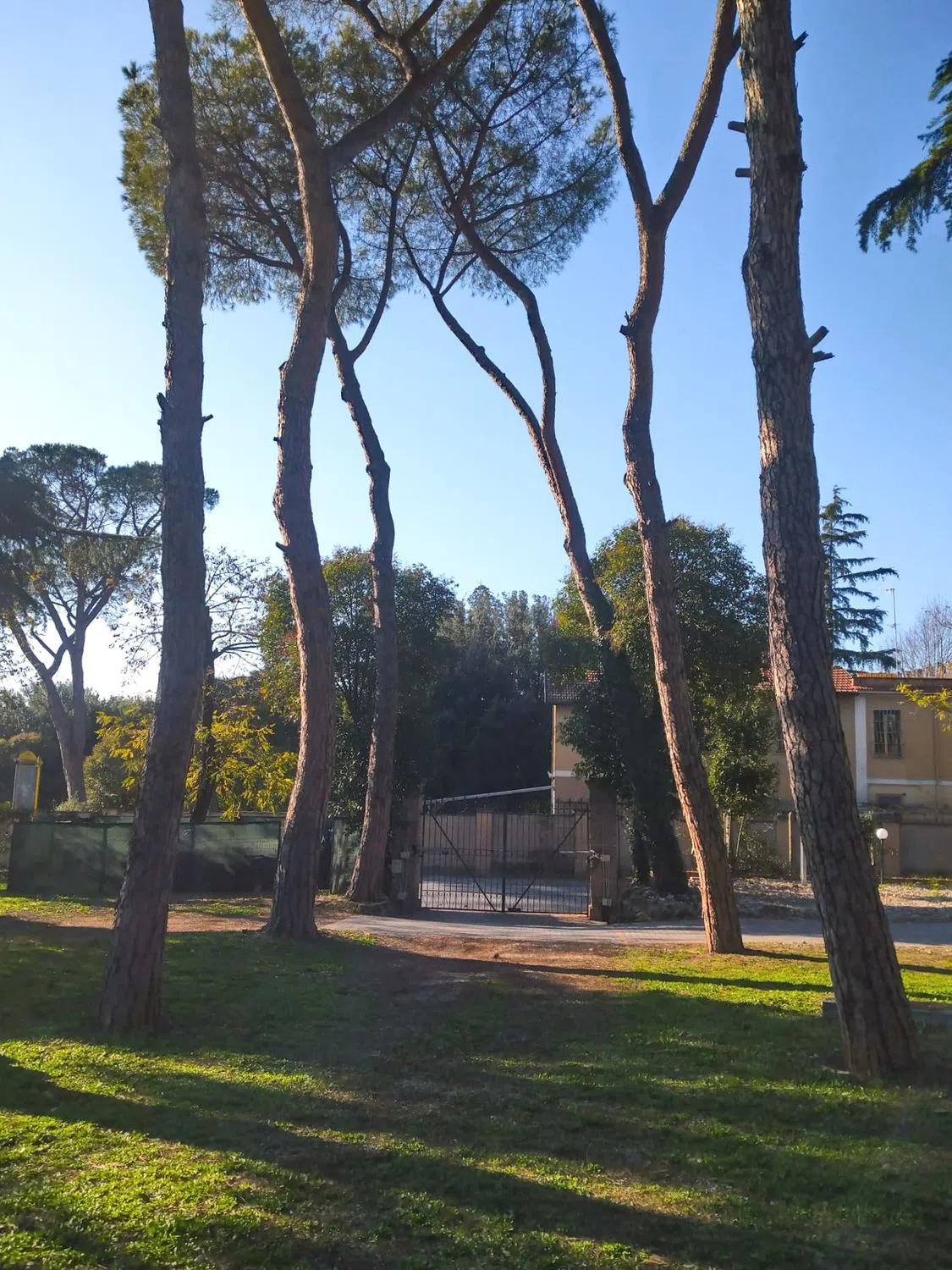Villa in via di Tor Cervara, 119 - Photo 20