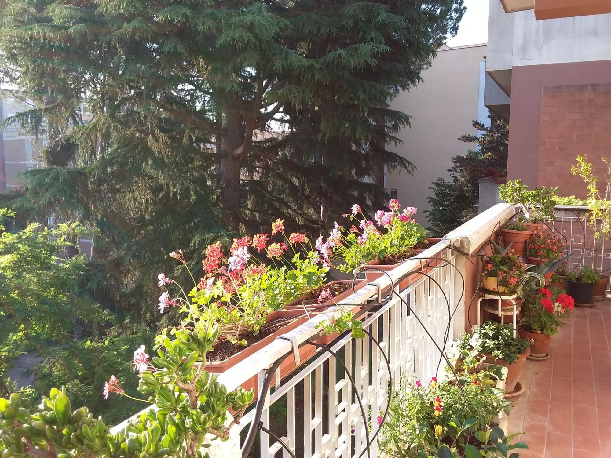 Quadrilocale in via Voltaire, 97 - Photo 2