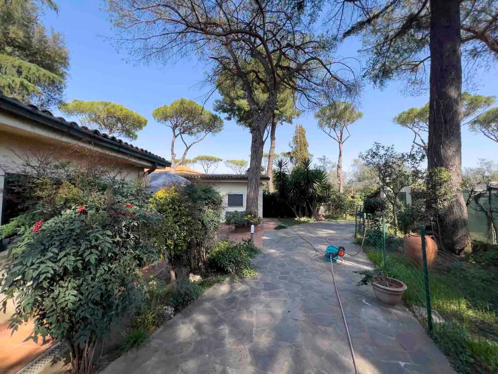 Villa in via Papirio Carbone, 15 - Photo 3