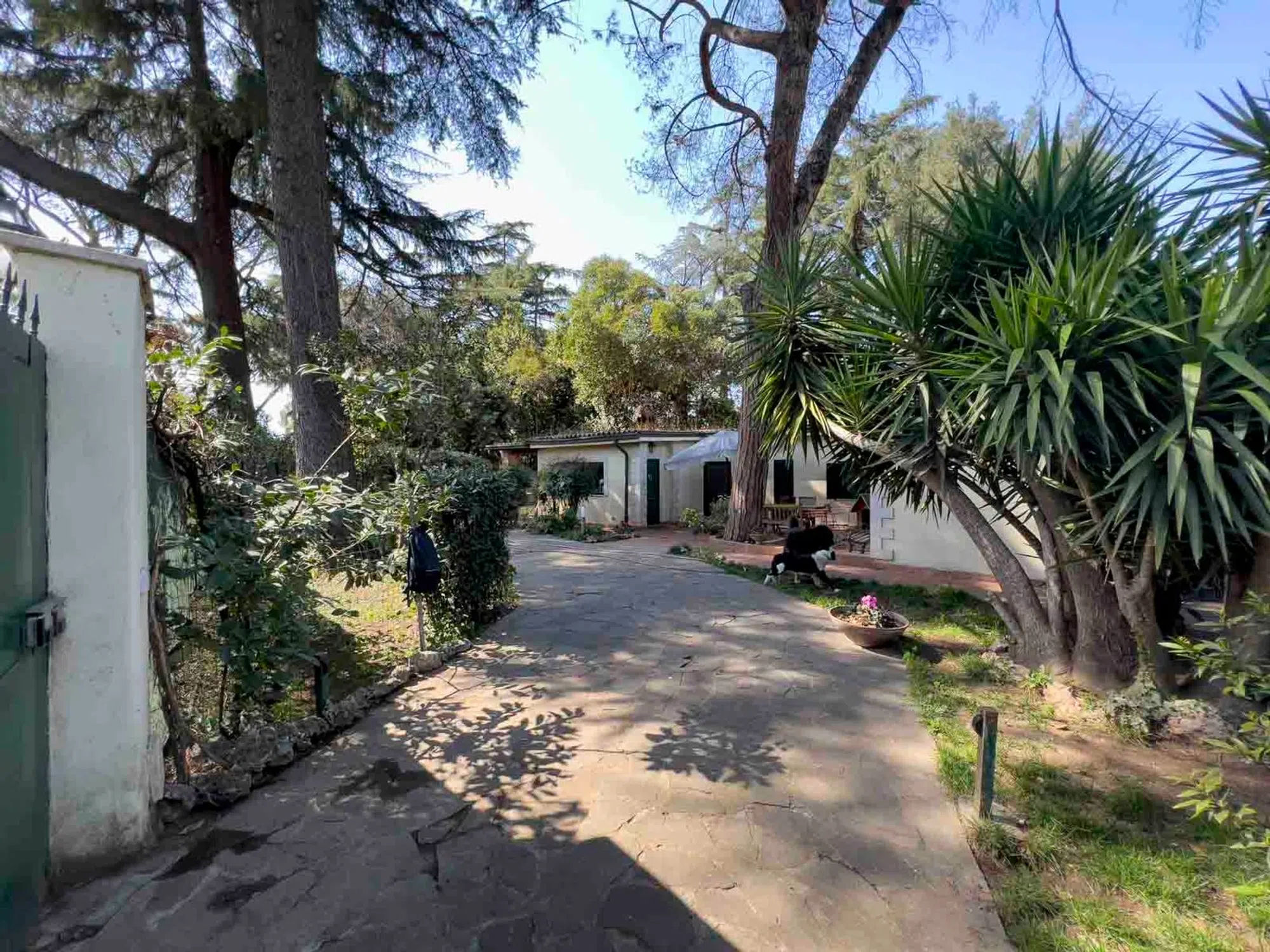 Villa in via Papirio Carbone, 15 - Photo 4