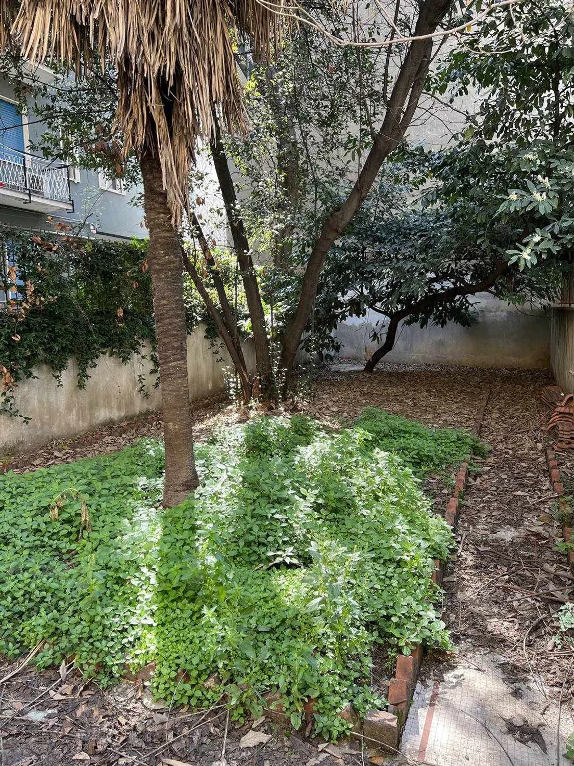 Appartamento in viale Gran Sasso, 8 - Photo 7