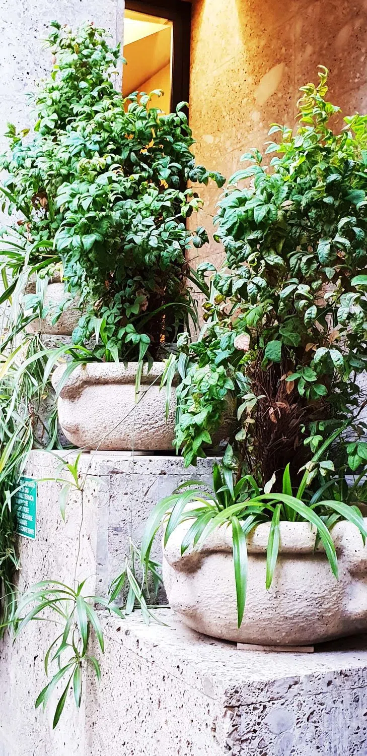 Quadrilocale in borgogna, 9 - Photo 2