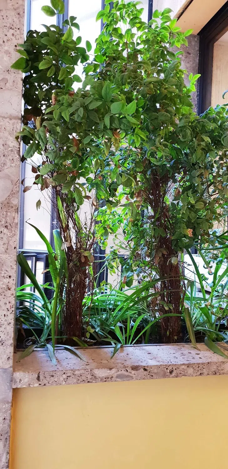 Quadrilocale in borgogna, 9 - Photo 3