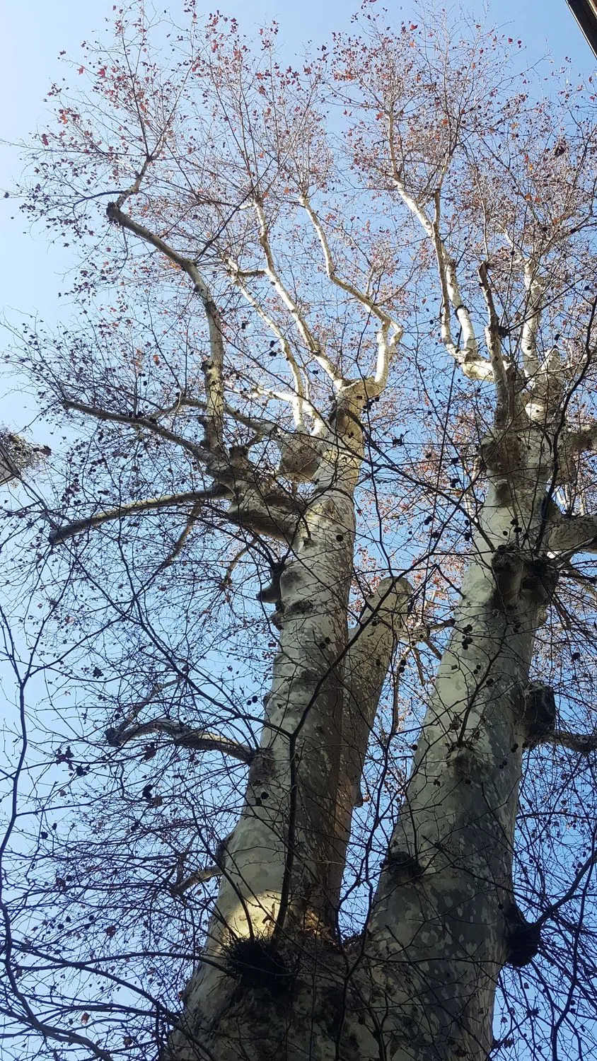 Quadrilocale in borgogna, 9 - Photo 6