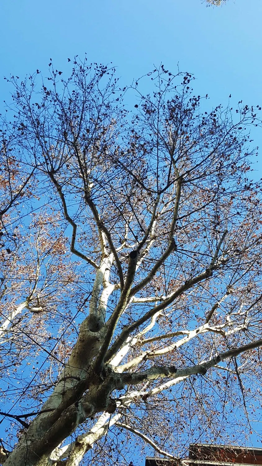 Quadrilocale in borgogna, 9 - Photo 8
