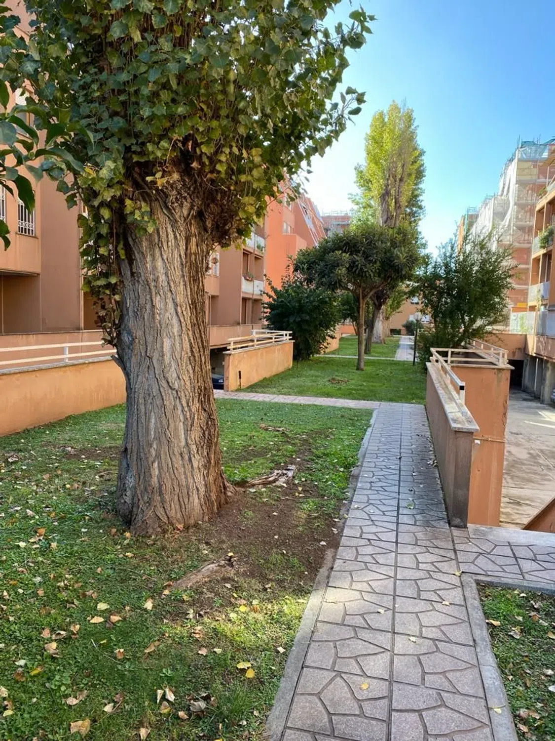 Quadrilocale in viale dell'Automobilismo - Photo 3