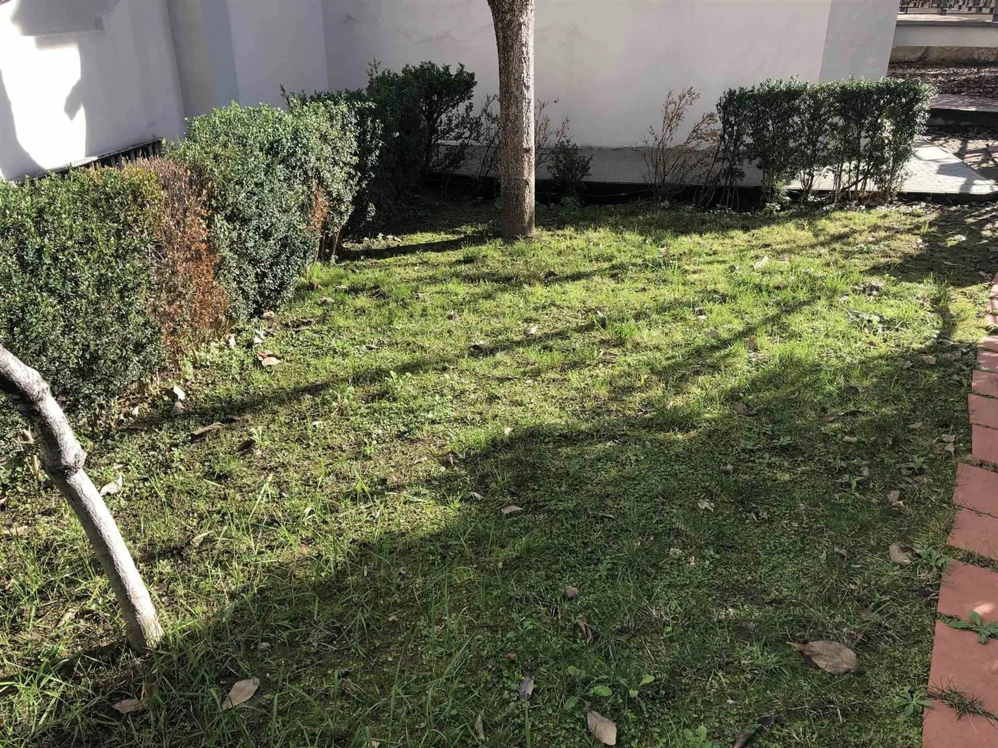 Appartamento in piazza Beccaria s.n.c. - Photo 14