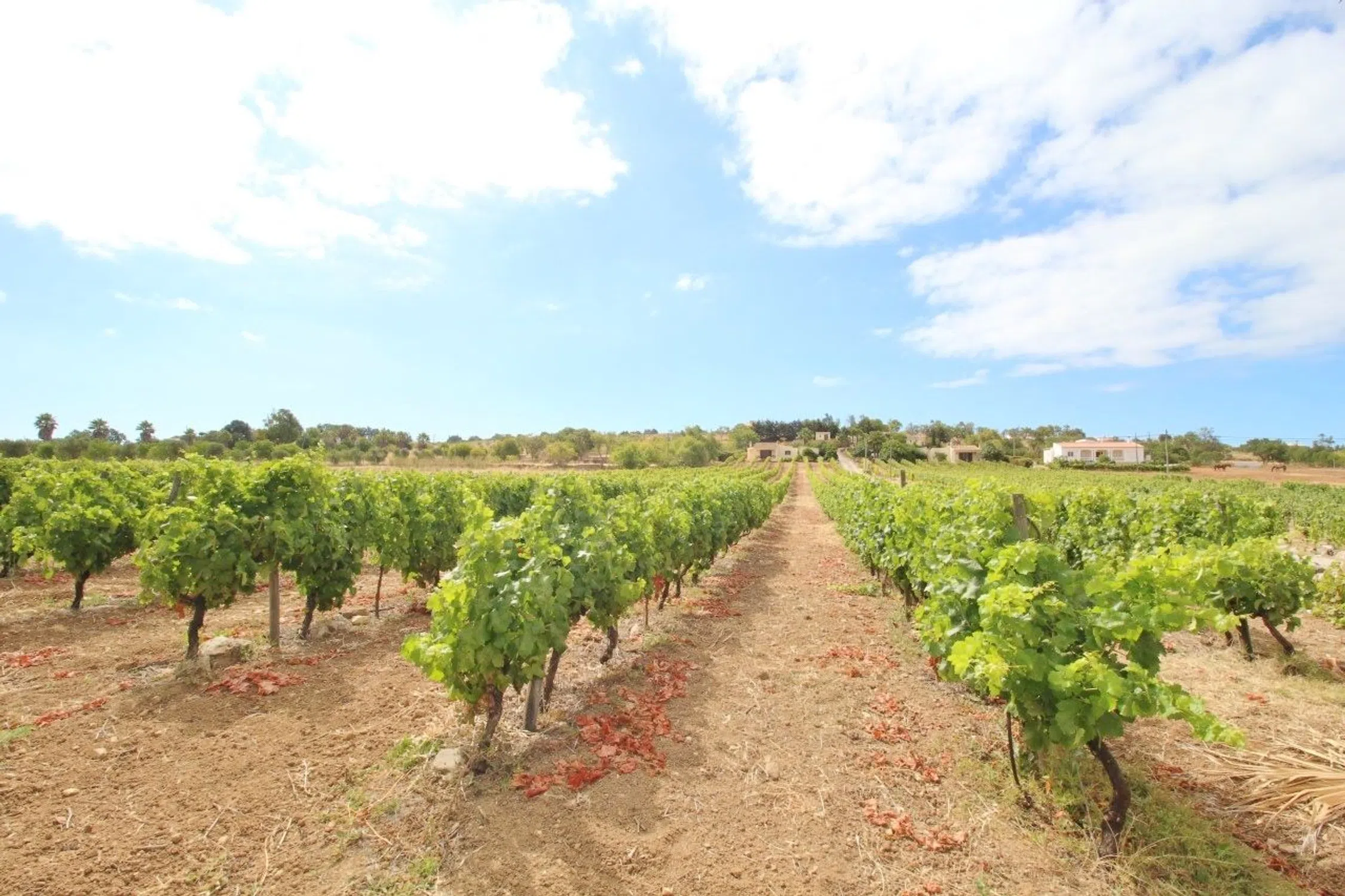 Moradia - Photo 16