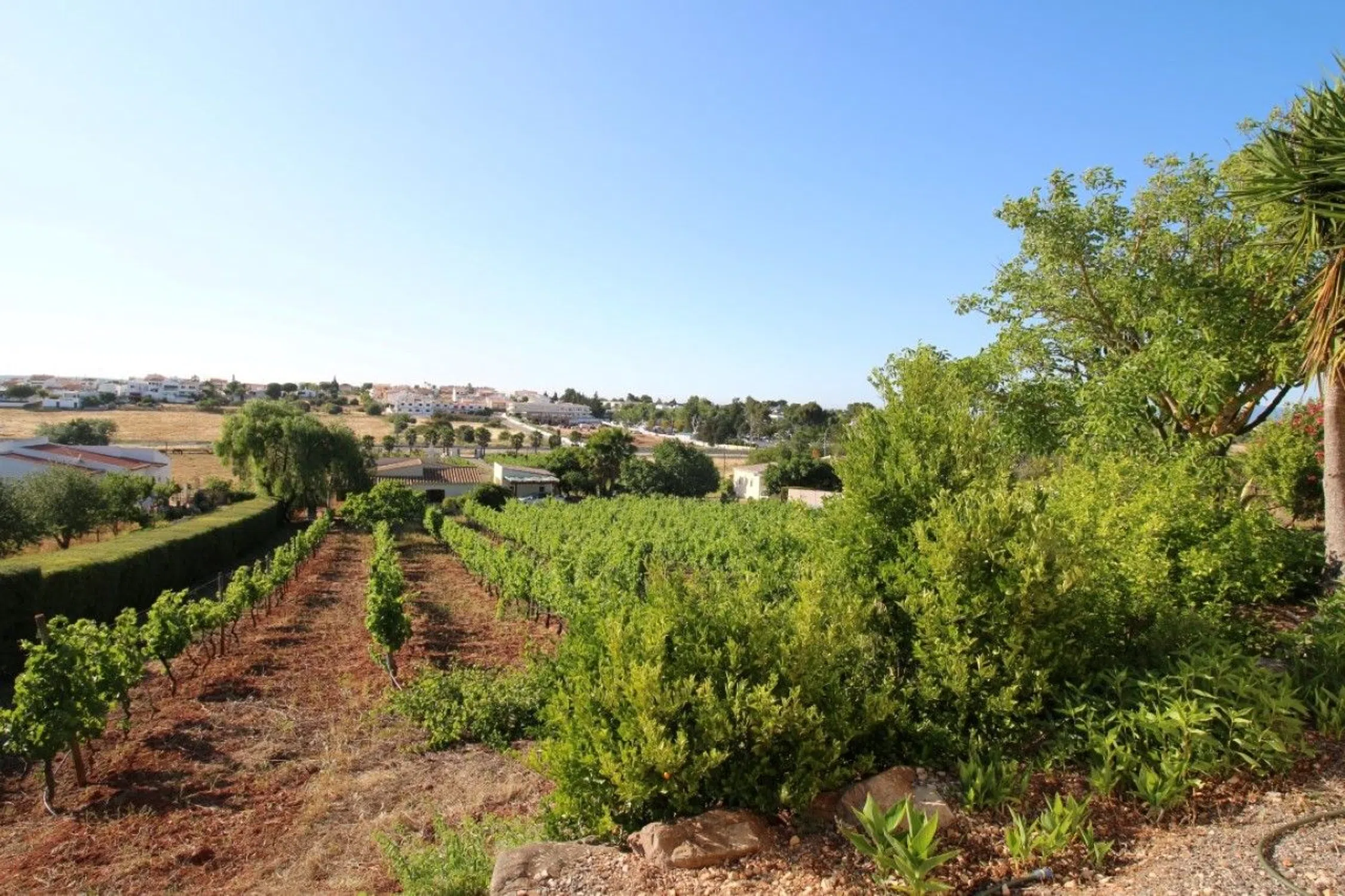 Moradia - Photo 10