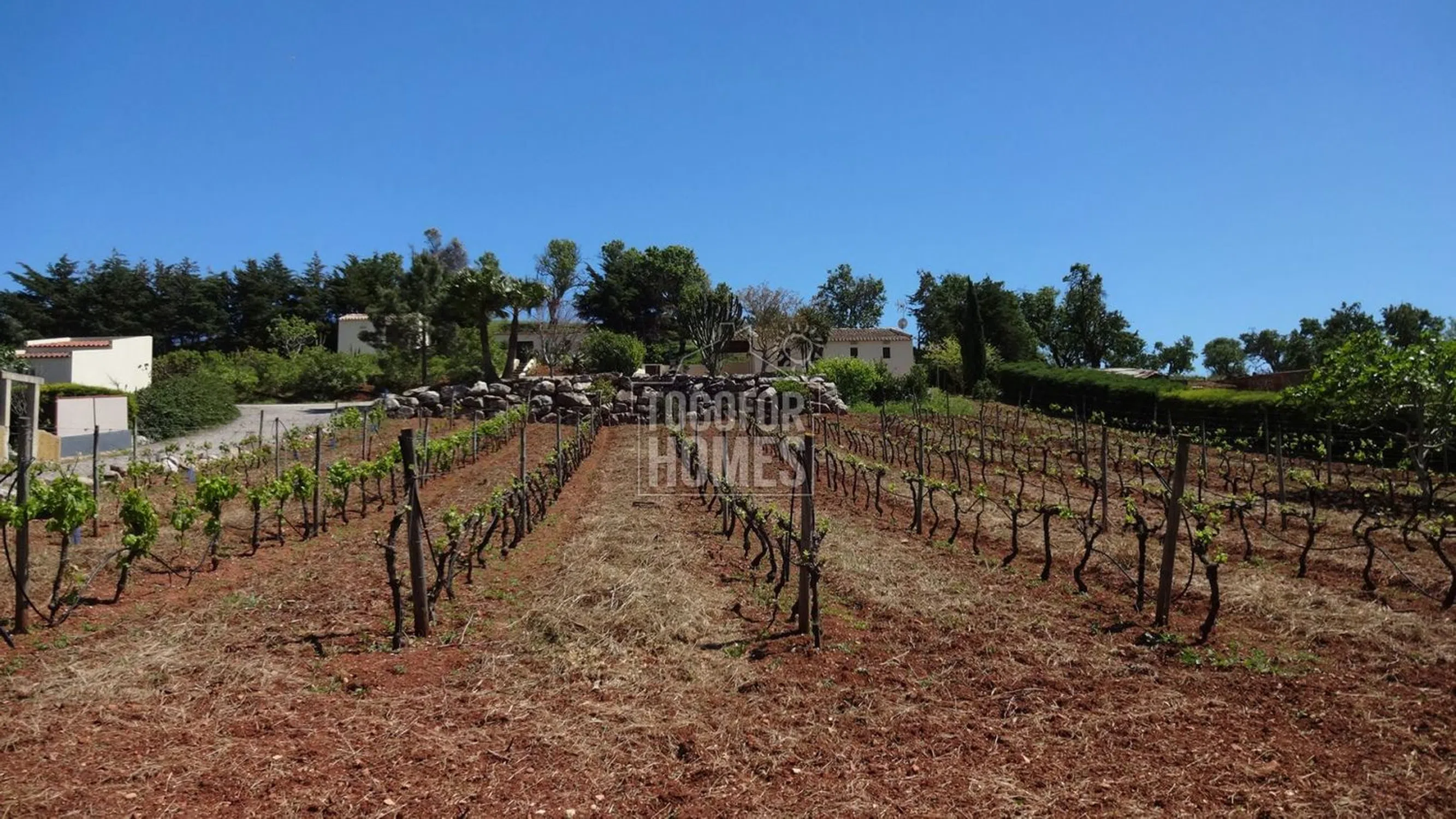 Moradia - Photo 20