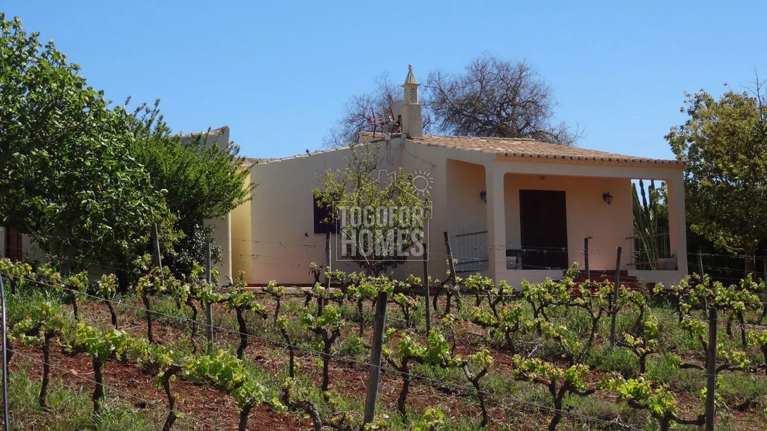 Moradia - Photo 4