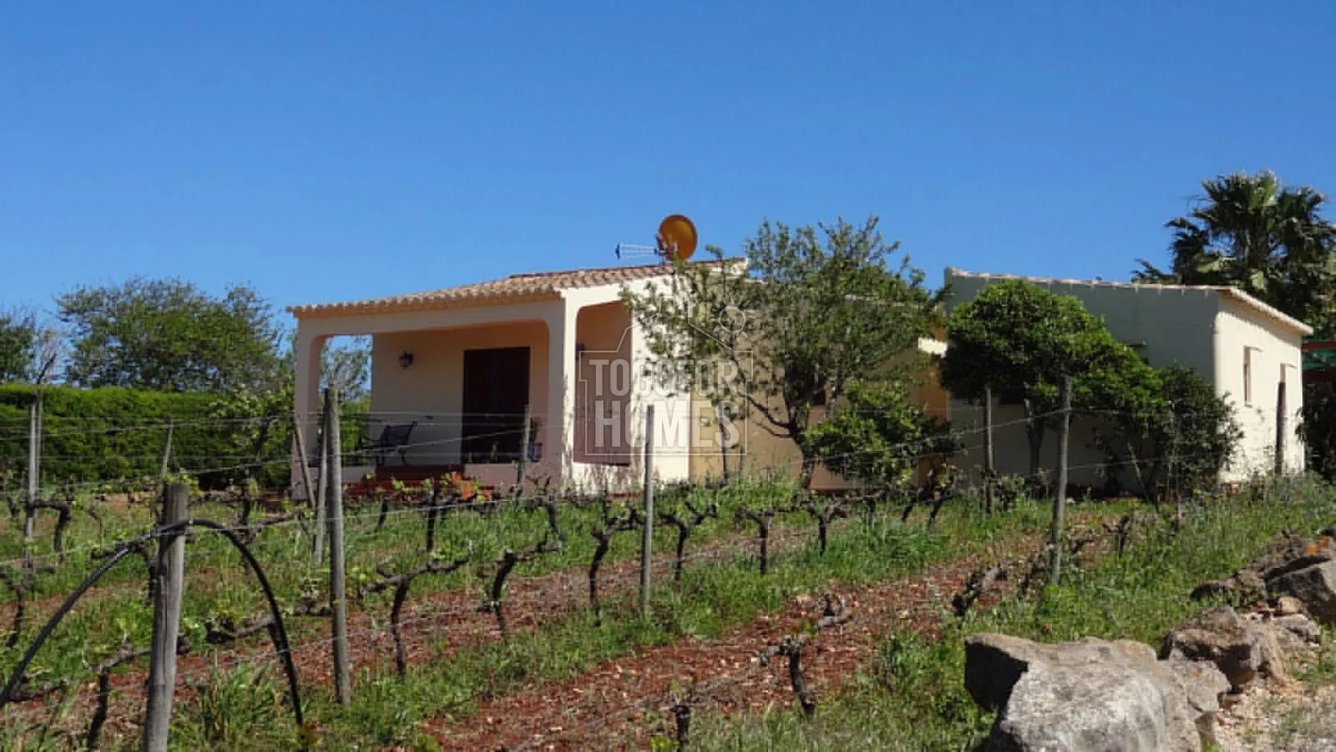 Moradia - Photo 10