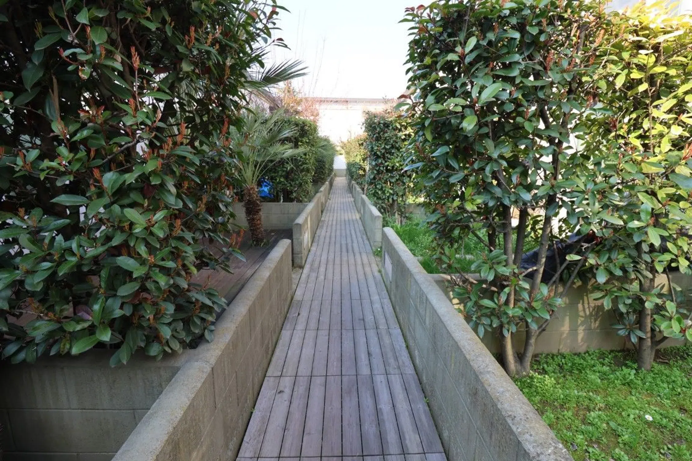 Appartamento su due piani in via Michele Pericle Negrotto - Photo 3