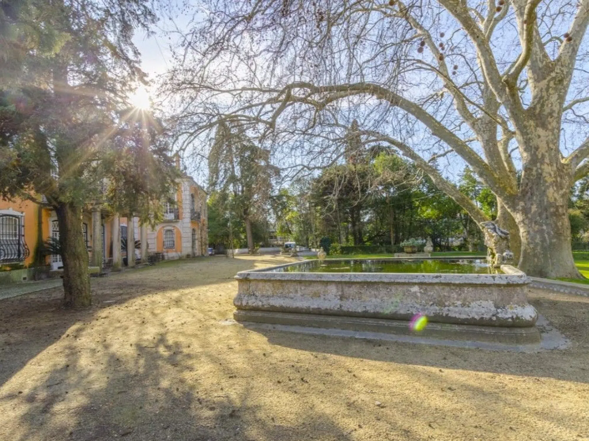 Palácio - Photo 7