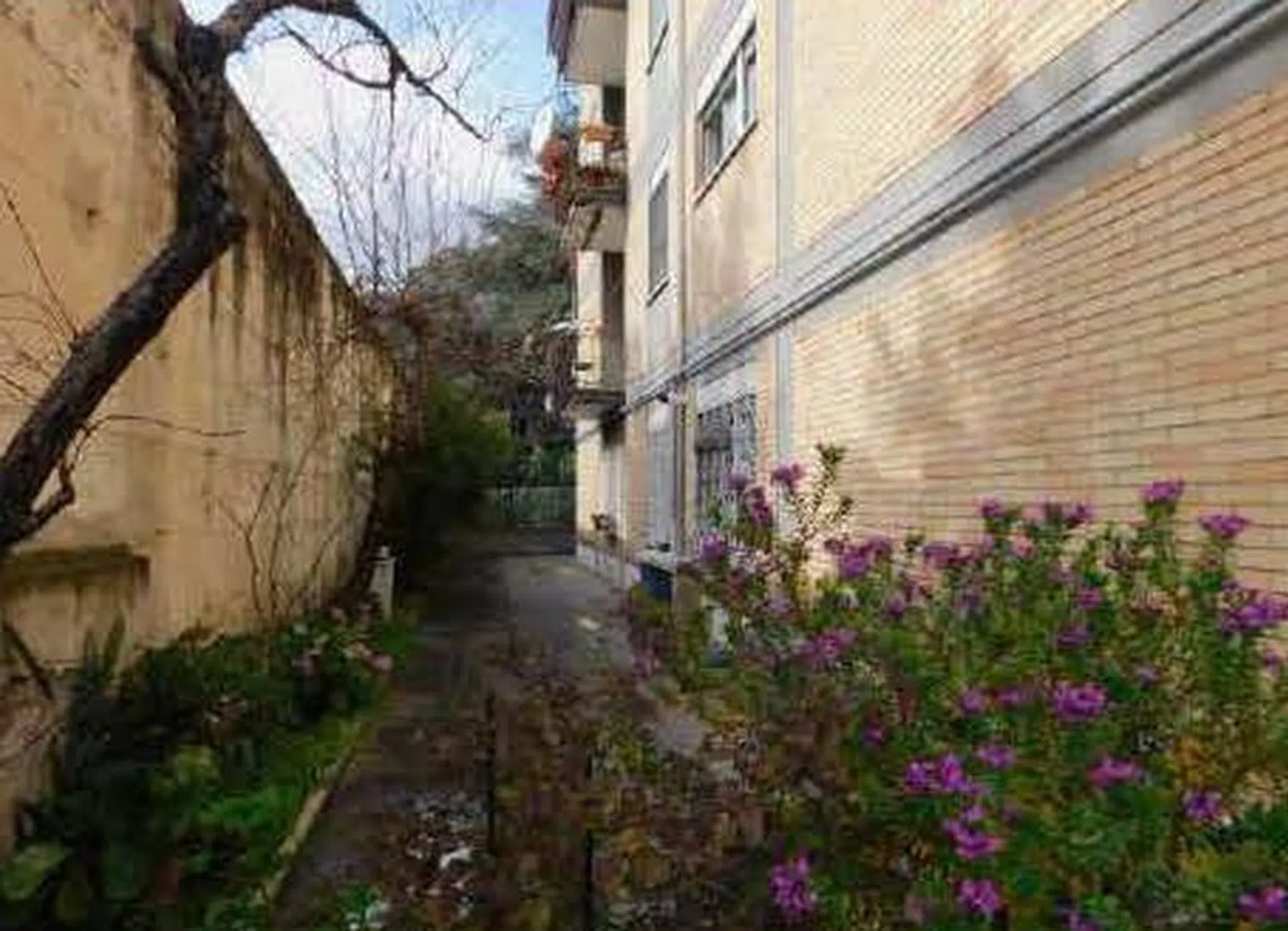 Quadrilocale in via di Casal dei Pazzi, 33 - Photo 2