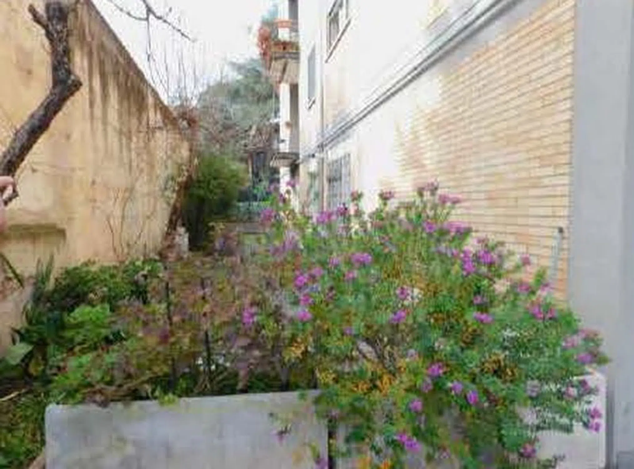 Quadrilocale in via di Casal dei Pazzi, 33 - Photo 3