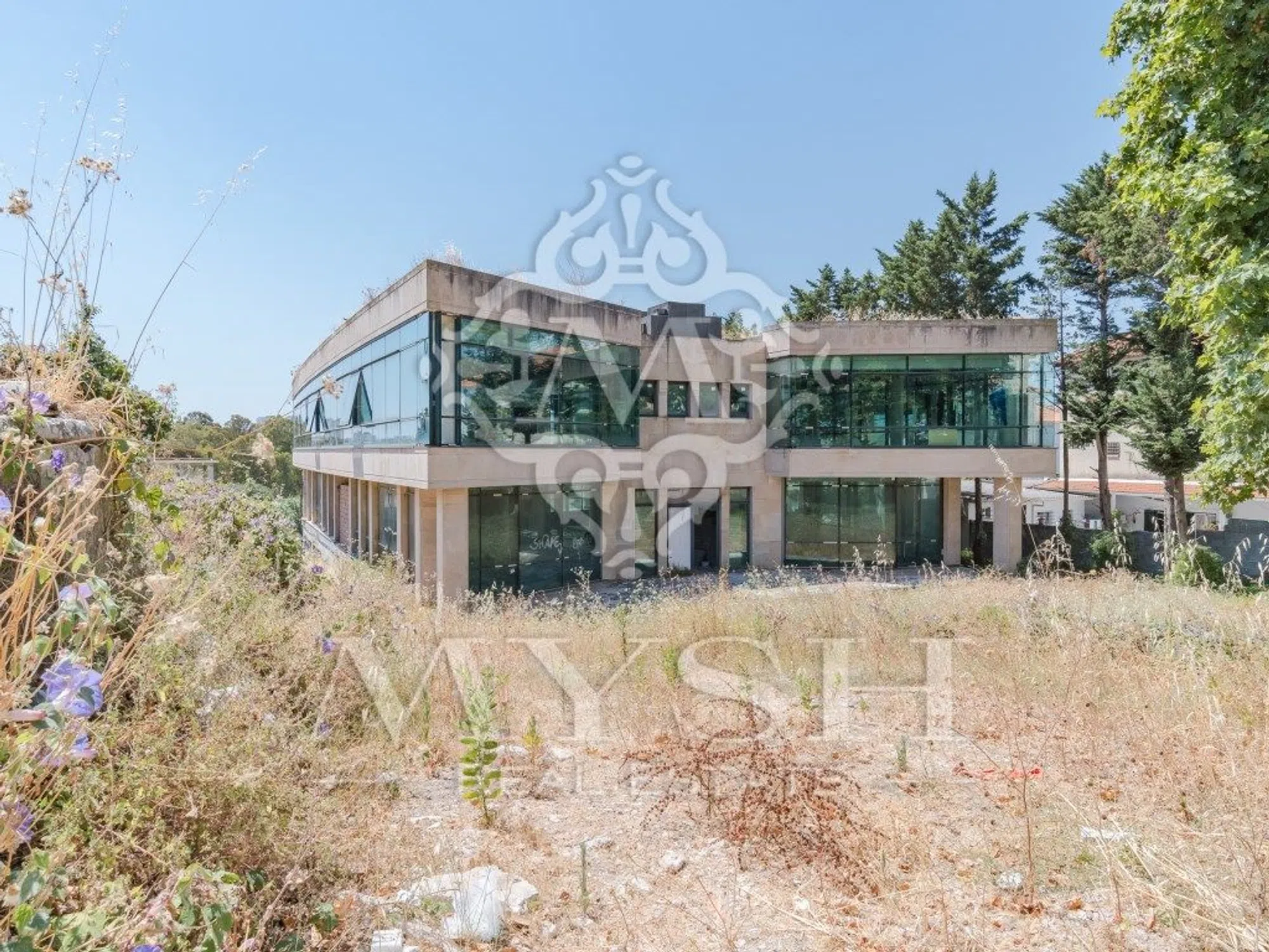 Quinta - Photo 2