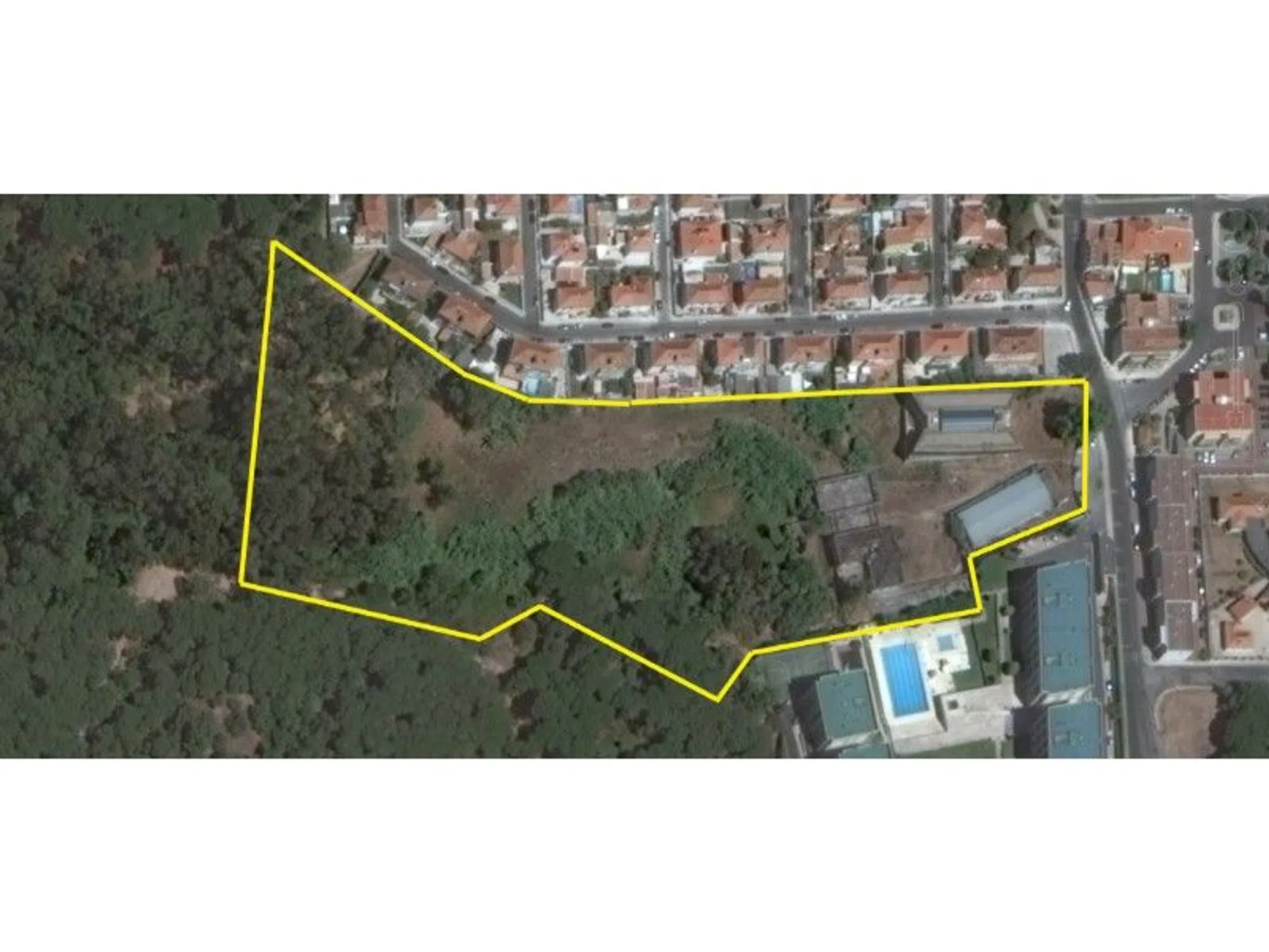Quinta - Photo 11