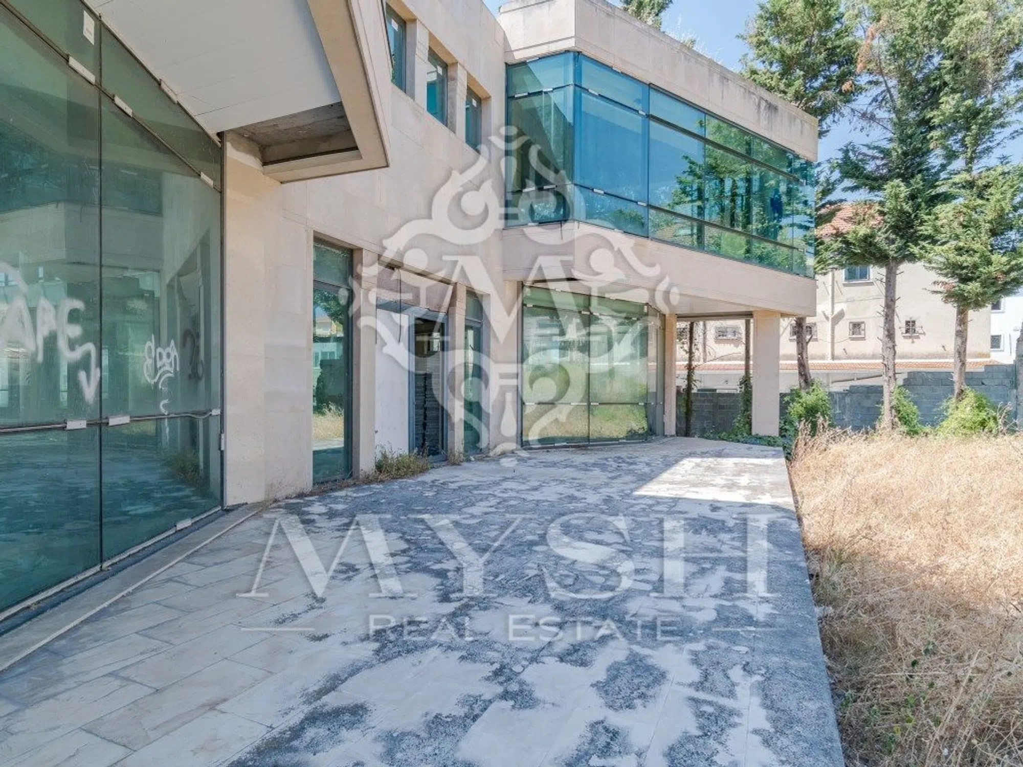 Quinta - Photo 4