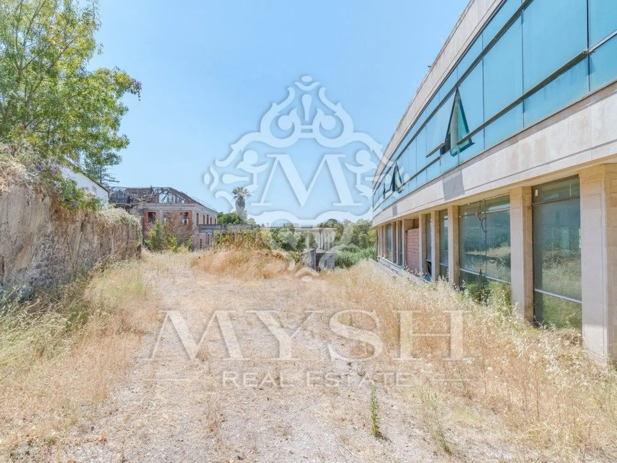 Quinta - Photo 6