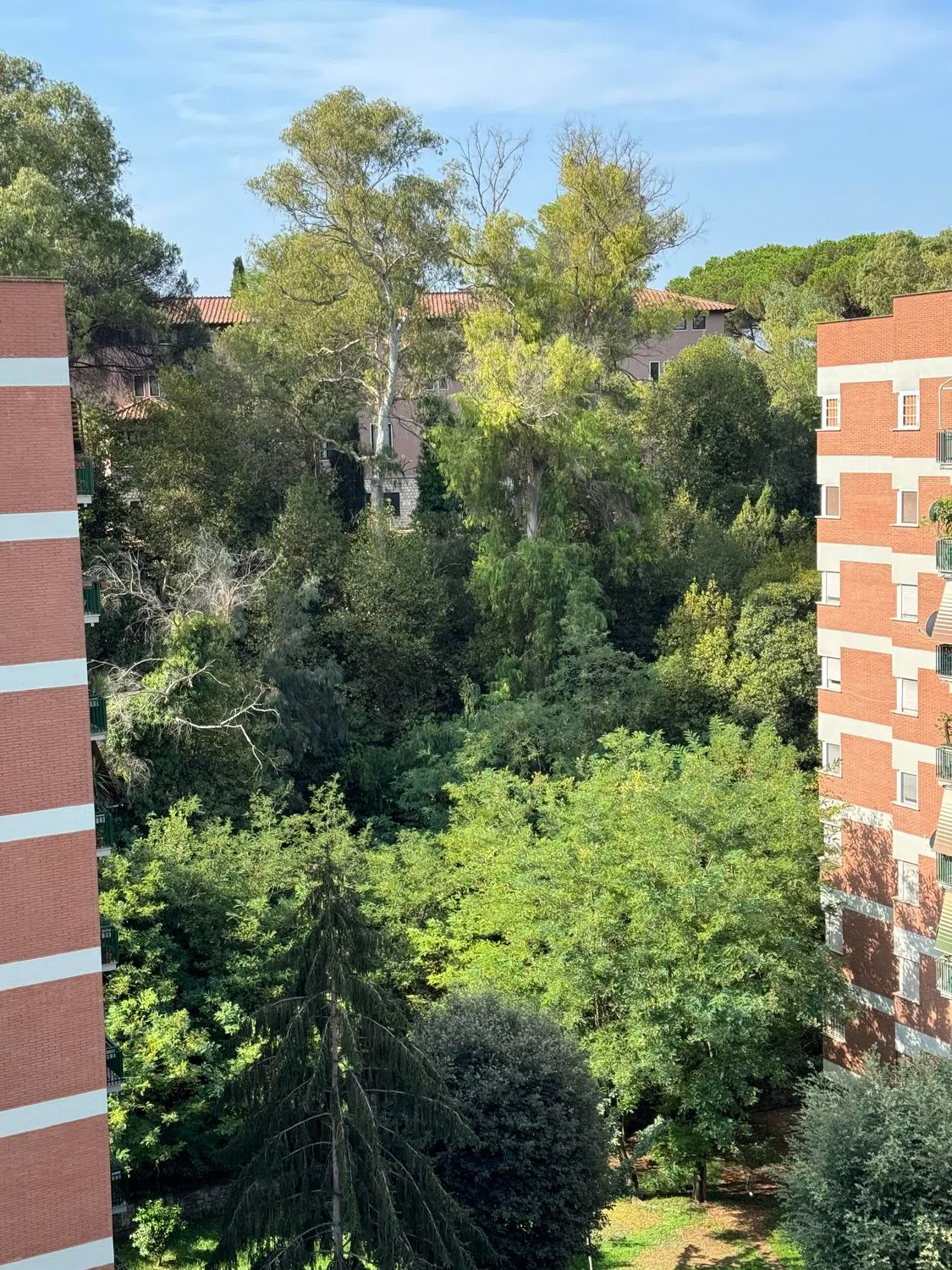 Attico in viale del Tintoretto, 88 - Photo 2