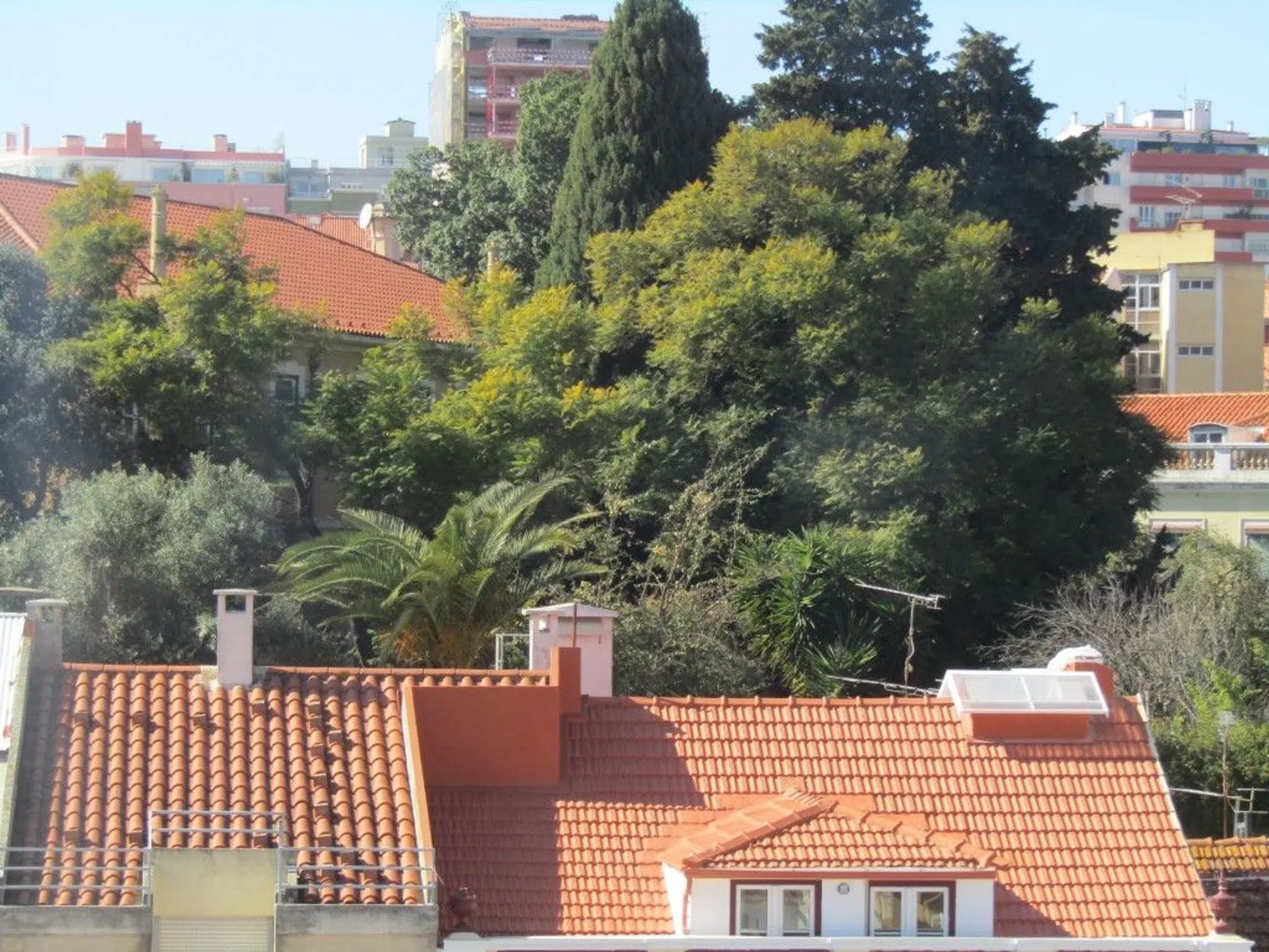 Apartamento - Photo 7