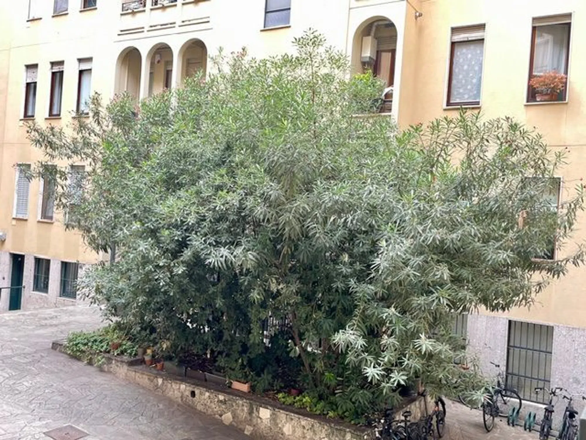 Bilocale in via Cappuccio s.n.c. - Photo 5