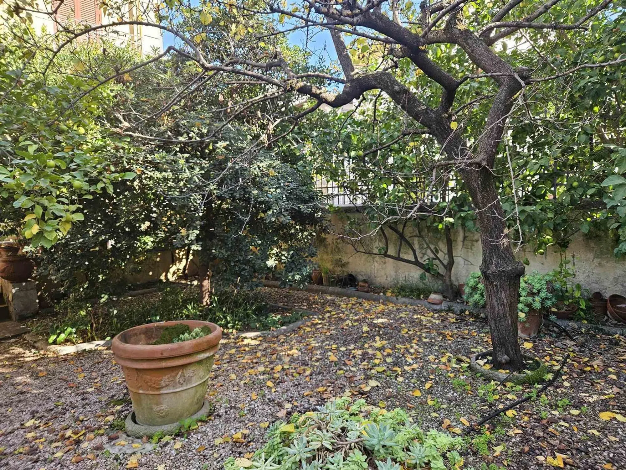 Villa in piazza Giacomo Puccini - Photo 2