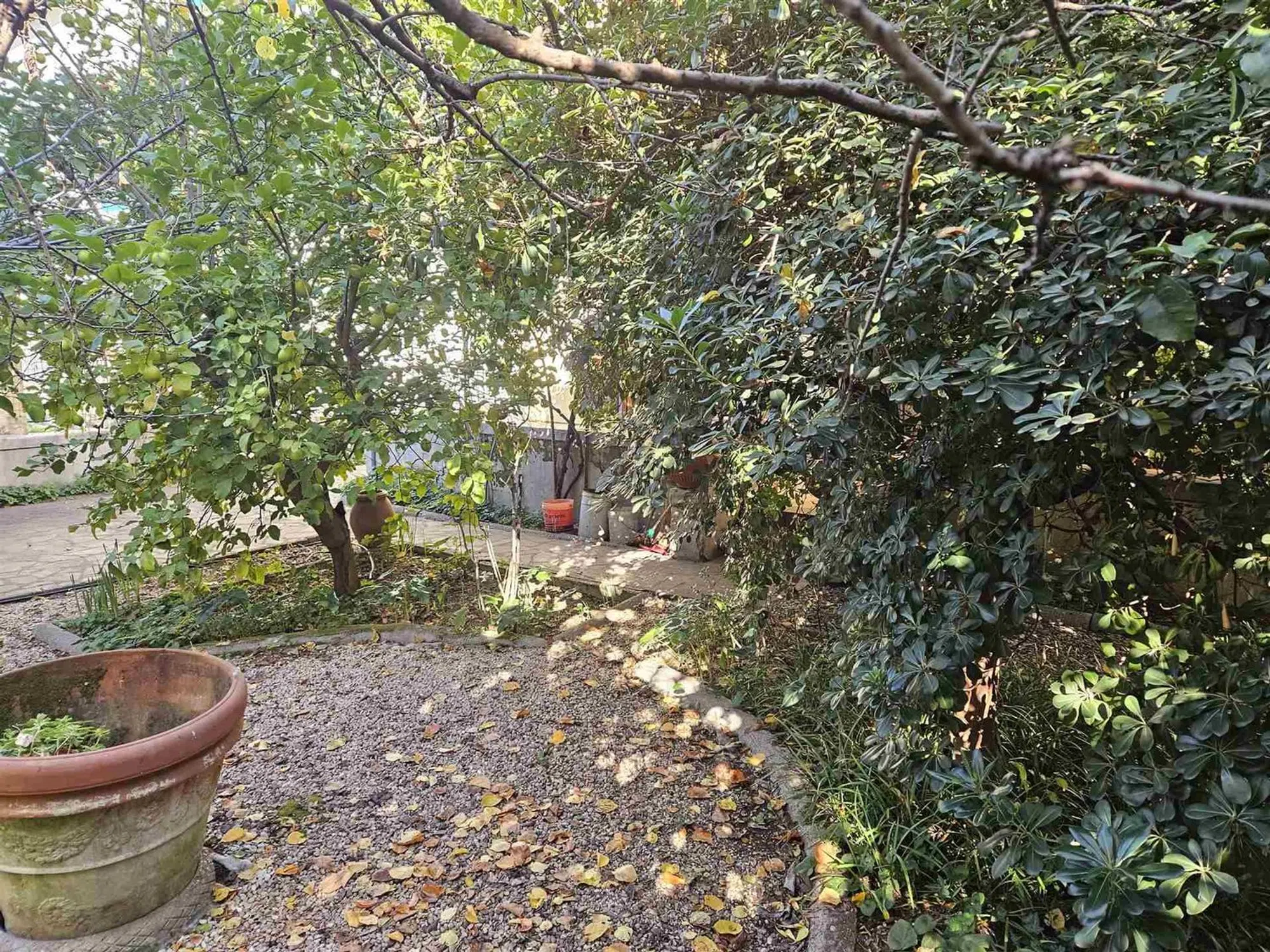 Villa in piazza Giacomo Puccini - Photo 6