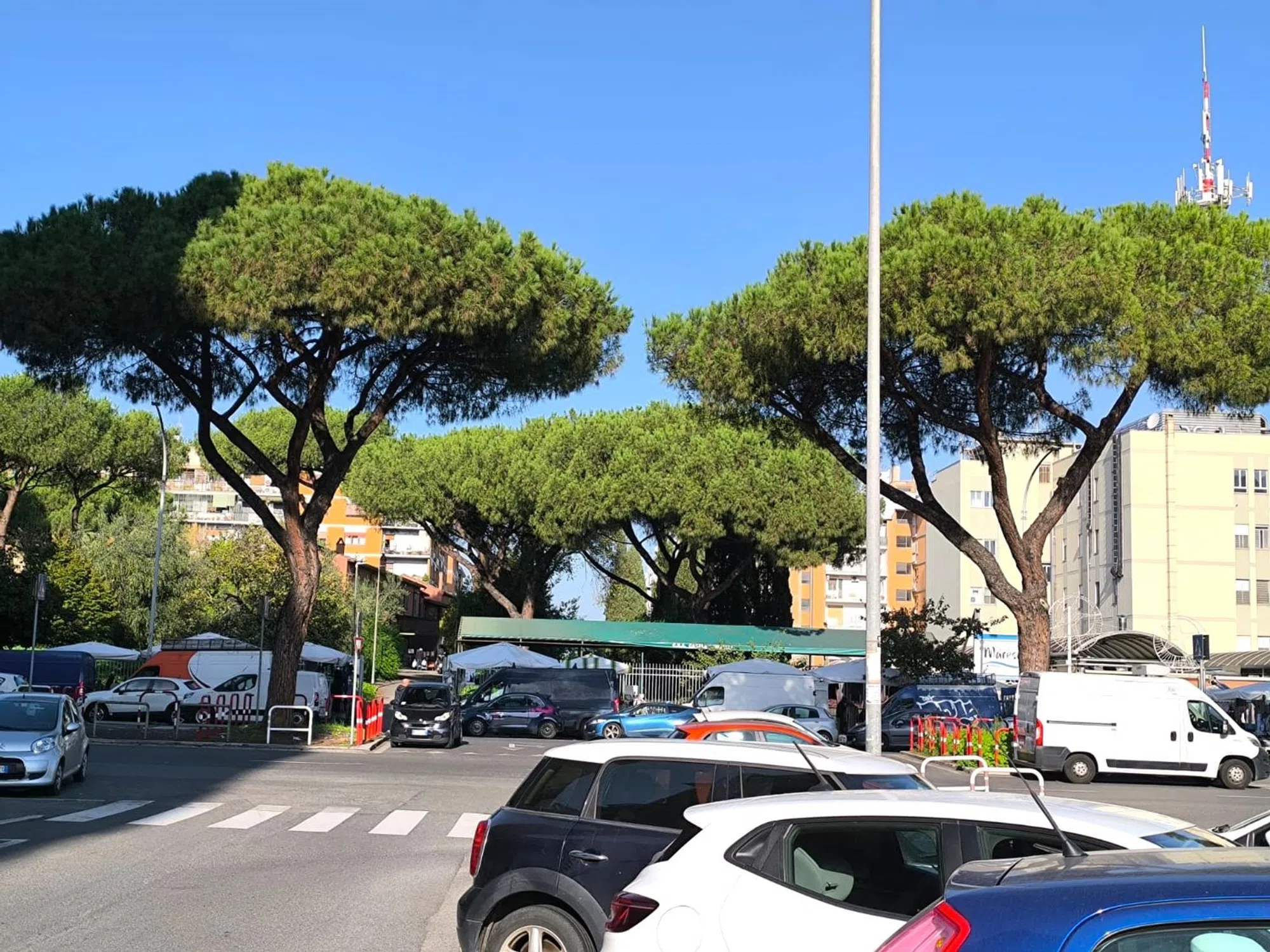 Appartamento in via Augusto Vera s.n.c. - Photo 2