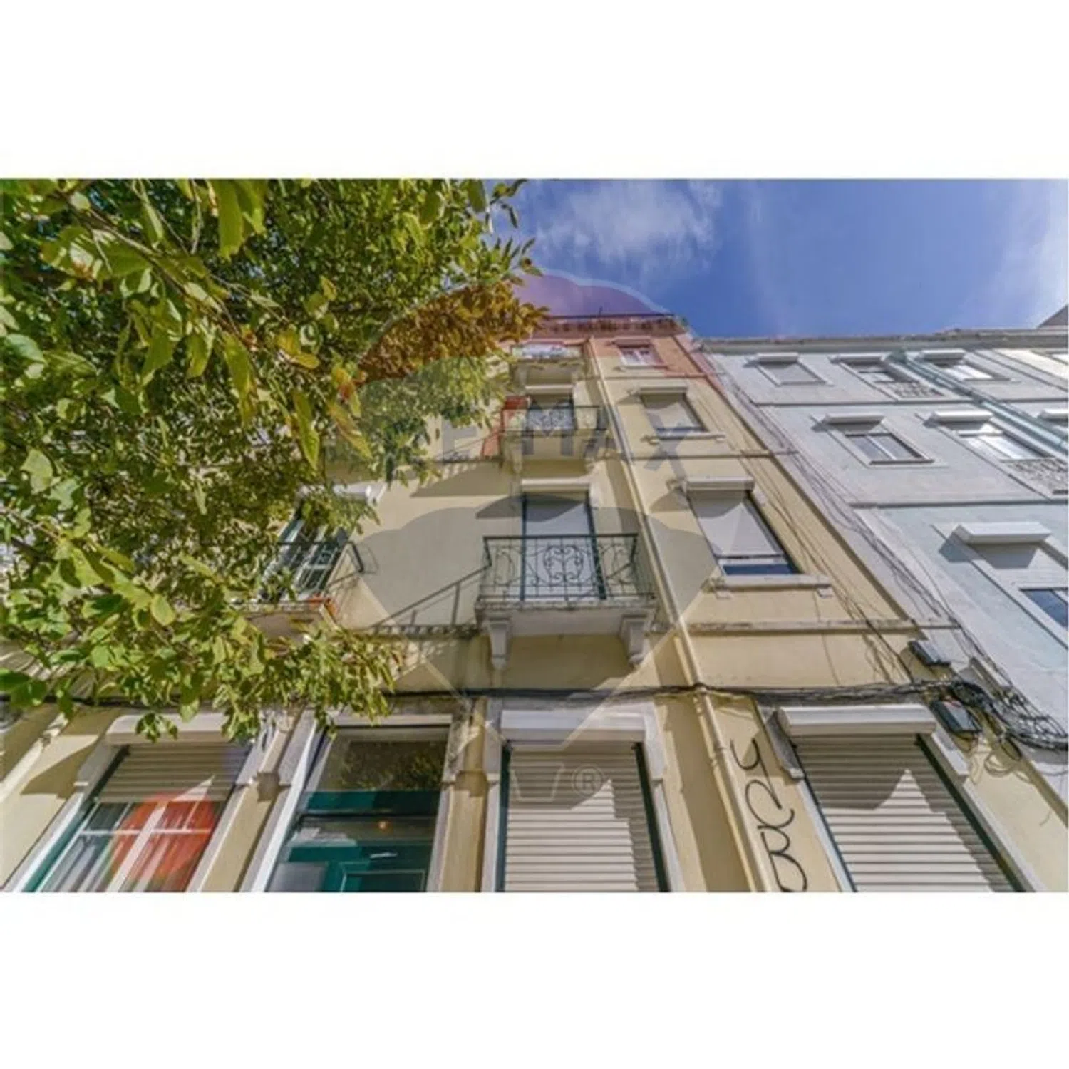 Apartamento - Photo 7