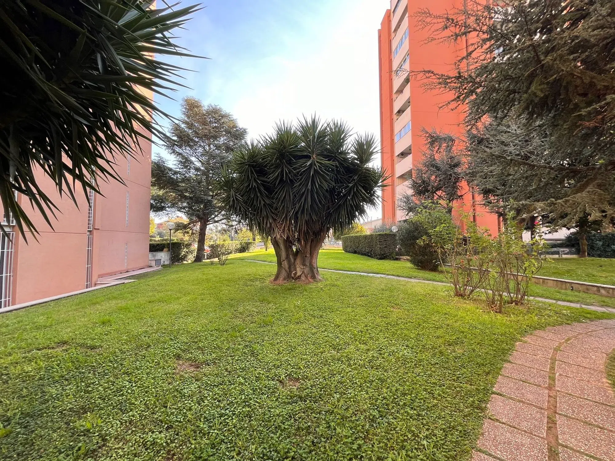 Attico in viale Erminio Spalla s.n.c. - Photo 7