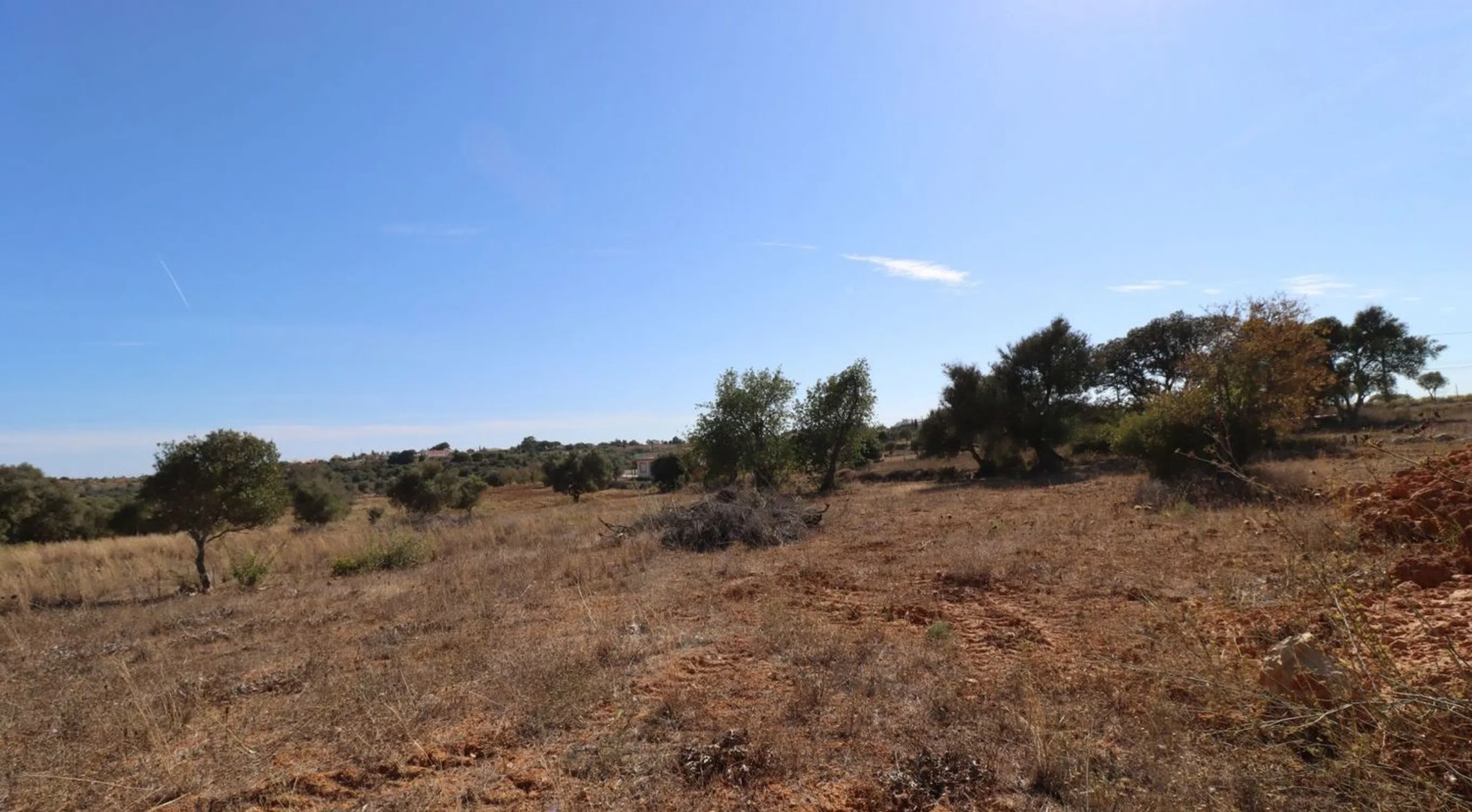 Moradia - Photo 10