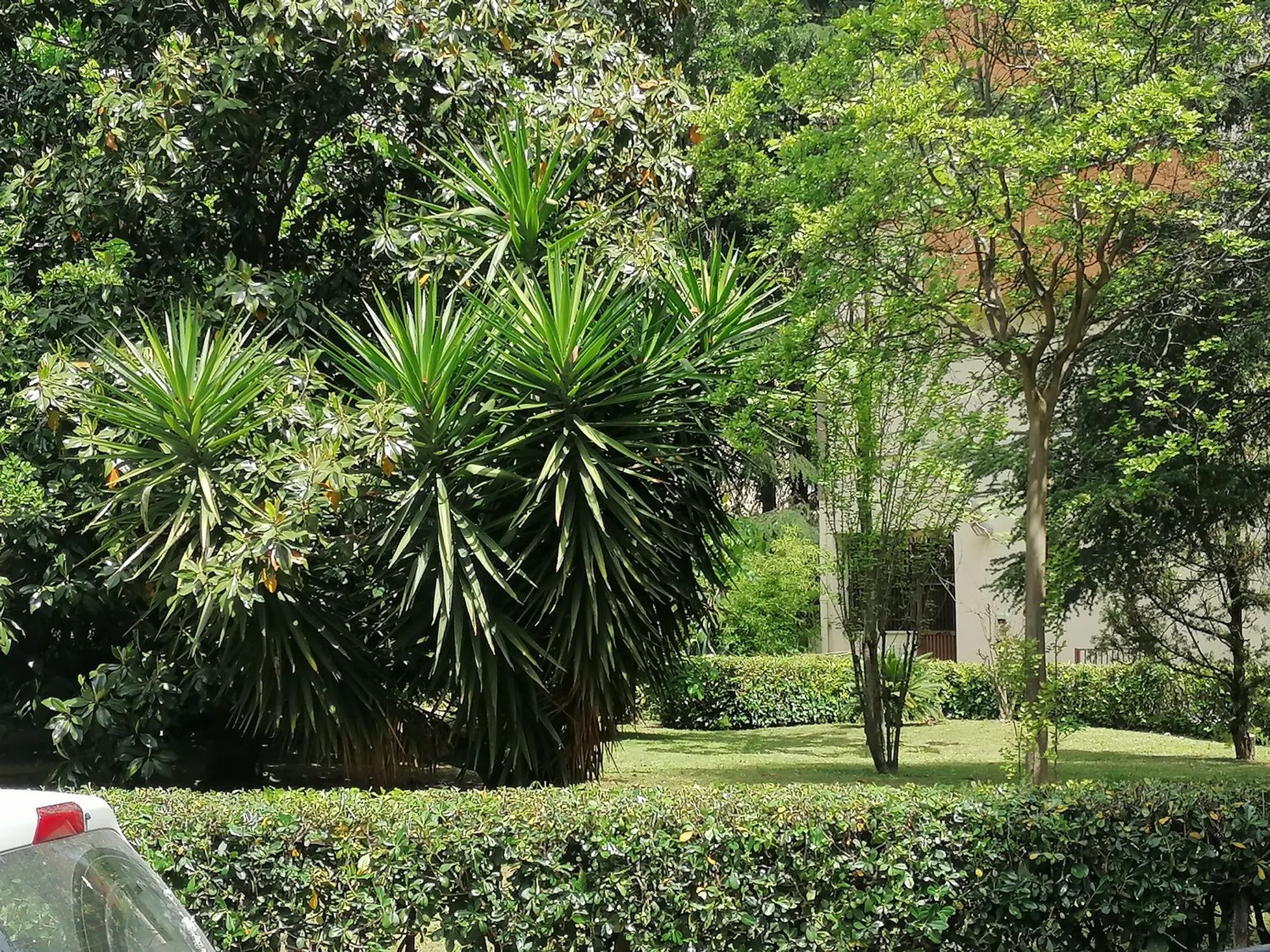 Monolocale in viale Marx, 117 - Photo 7