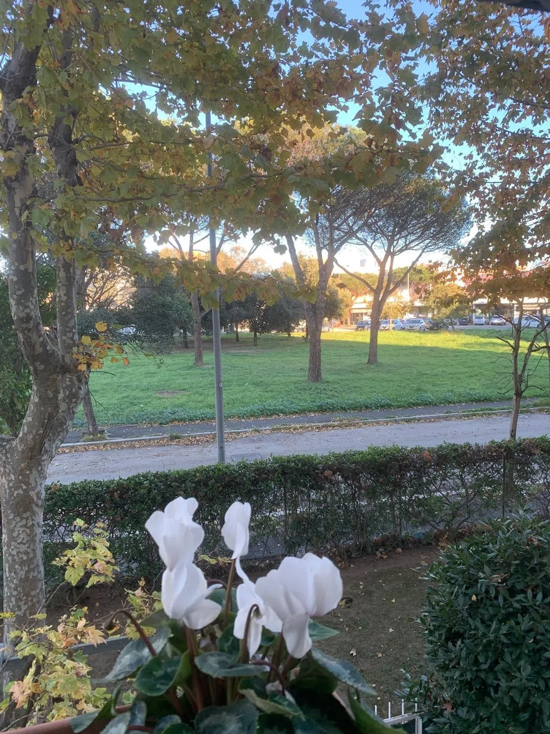 Quadrilocale in via Achille Funi, 40 - Photo 2