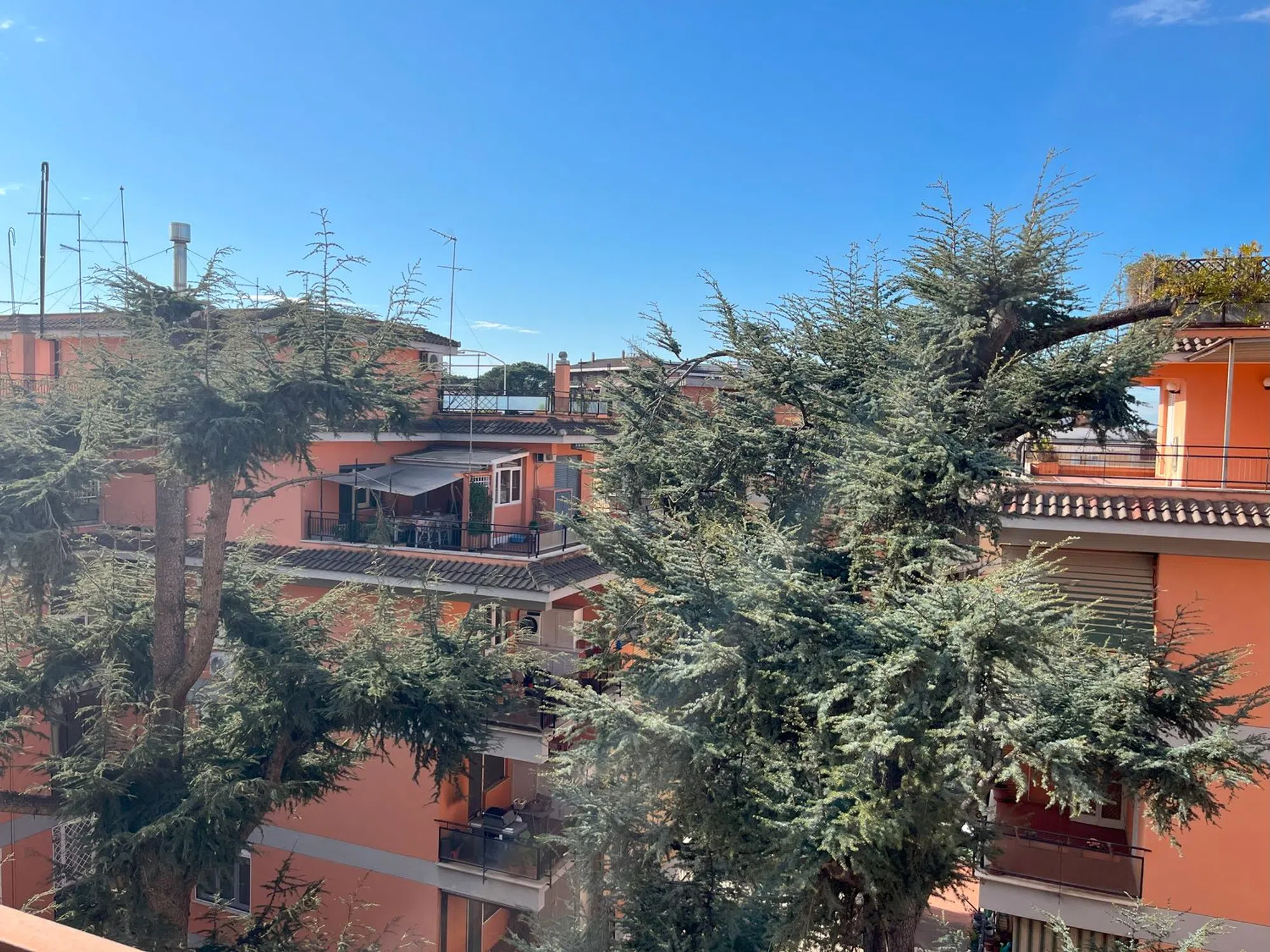 Trilocale in via di Boccea - Photo 19