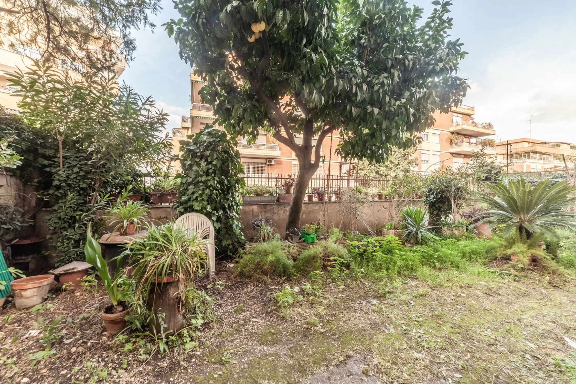 Trilocale in via Federico Patetta s.n.c. - Photo 20
