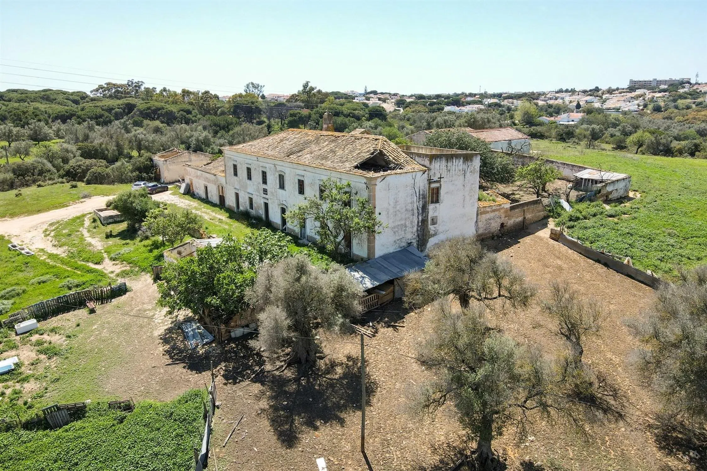 Quinta - Photo 5