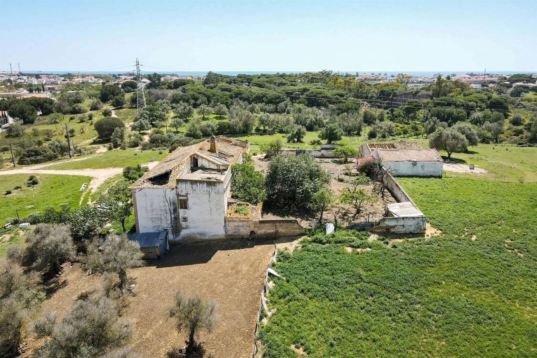 Quinta - Photo 6