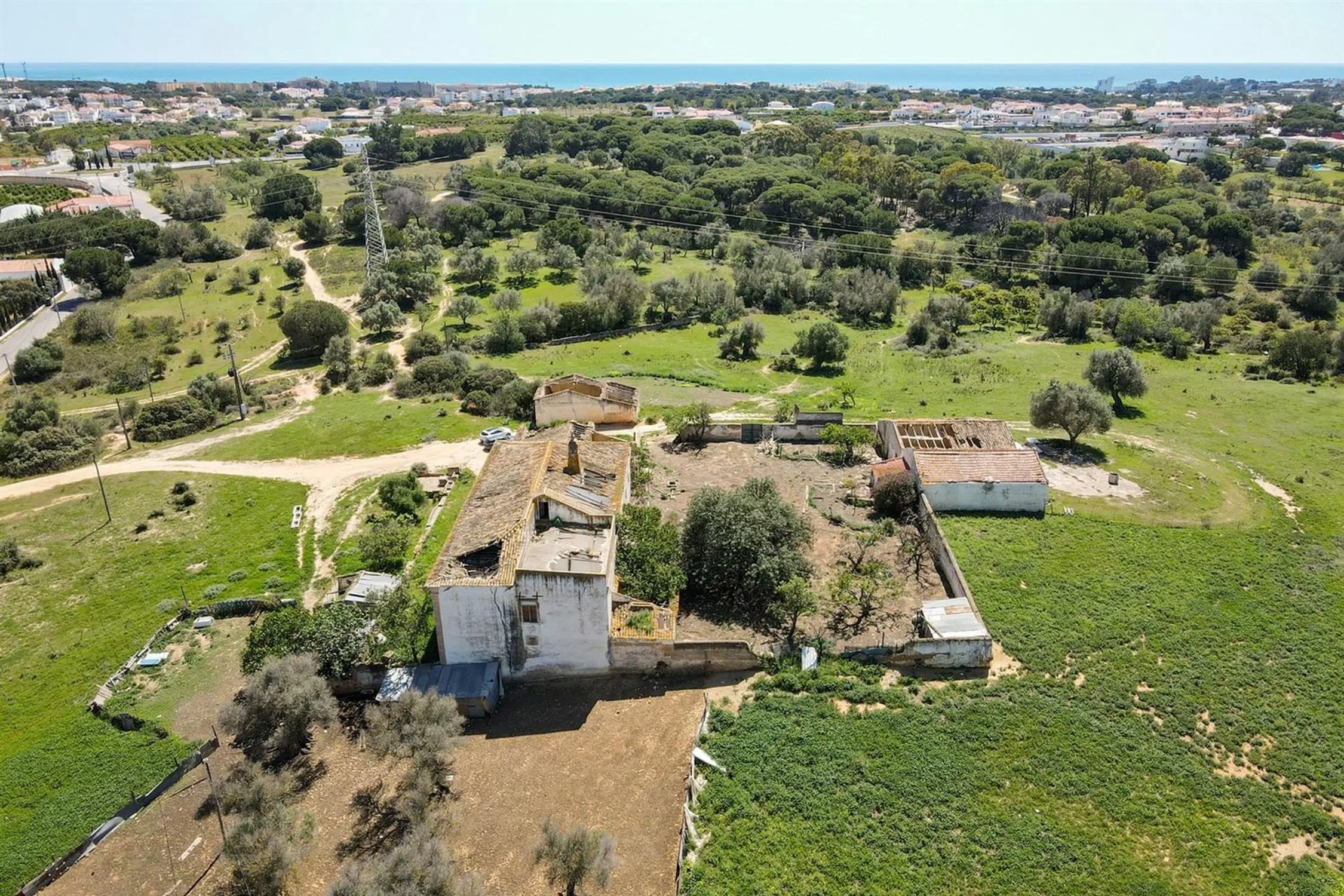 Quinta - Photo 7