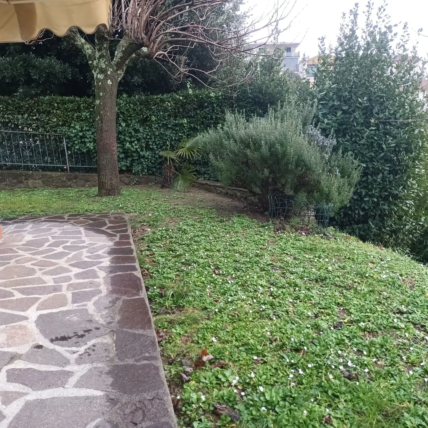 Appartamento su due piani in via Bolognese s.n.c. - Photo 4