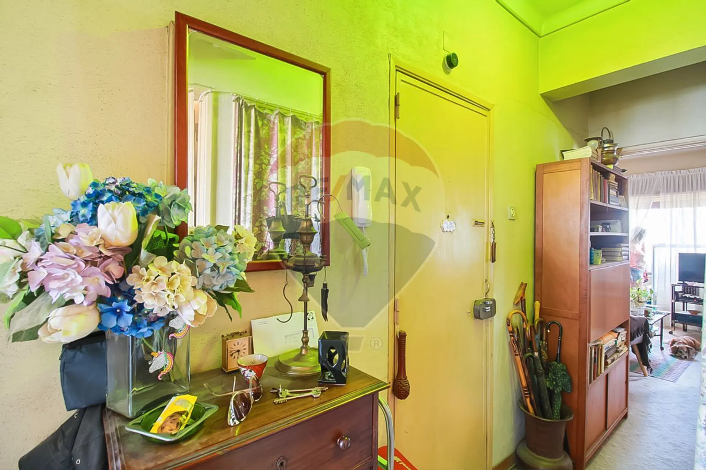 Apartamento - Photo 5