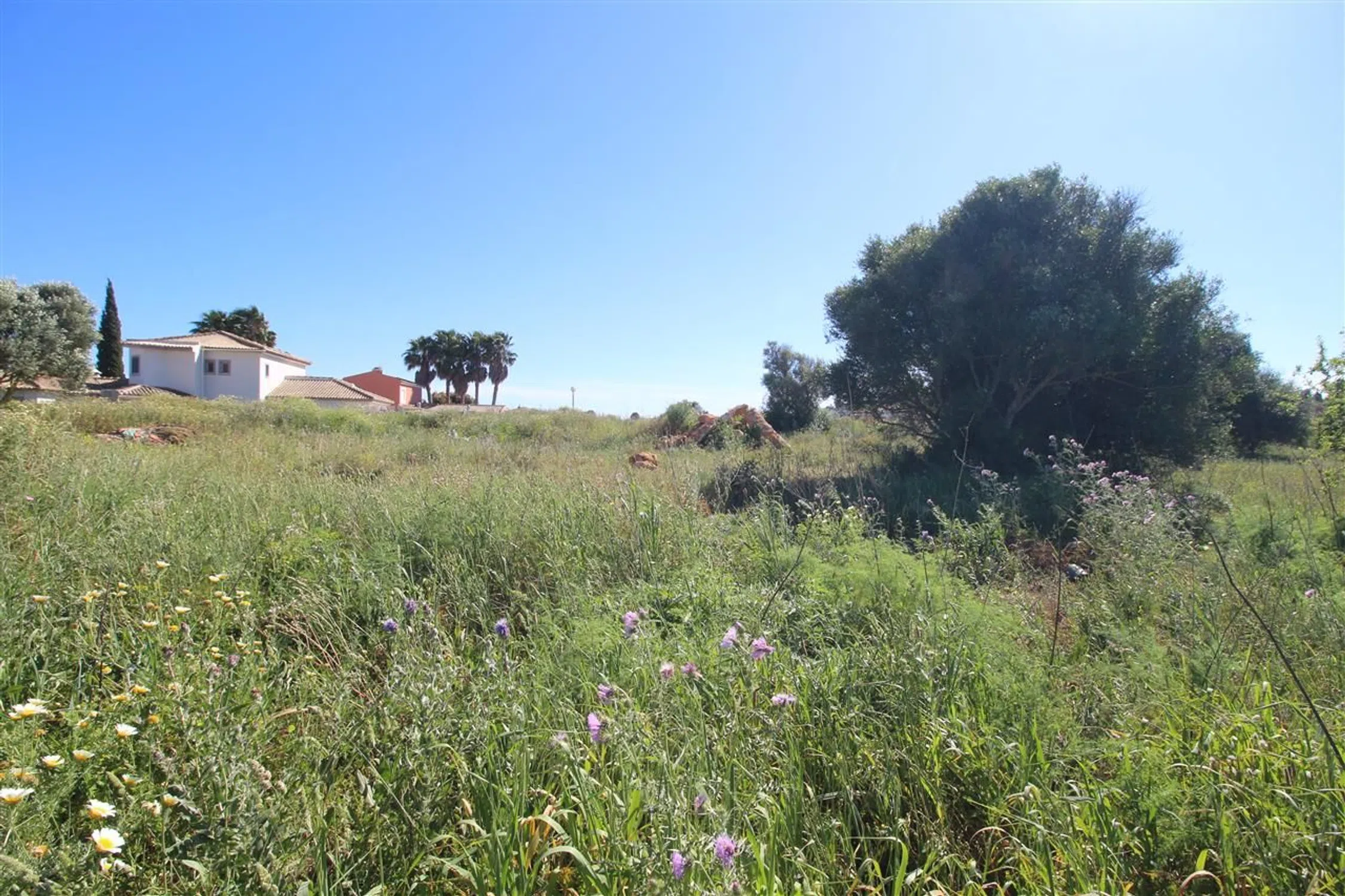 Moradia - Photo 14