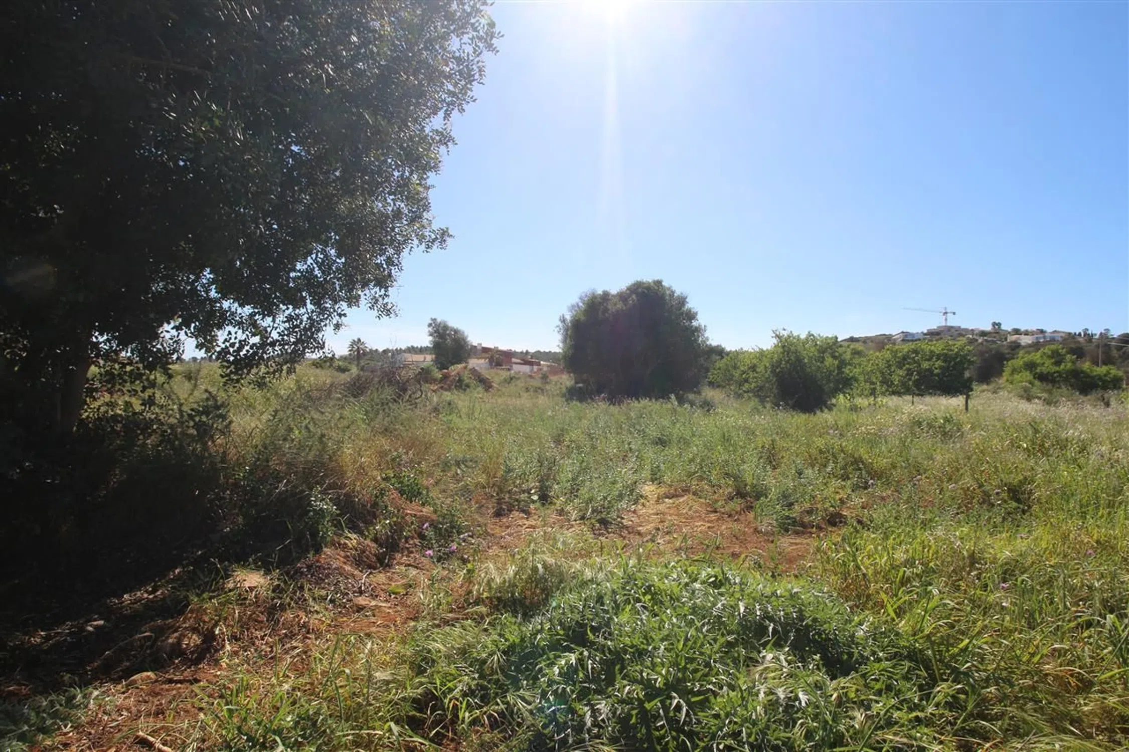 Moradia - Photo 15