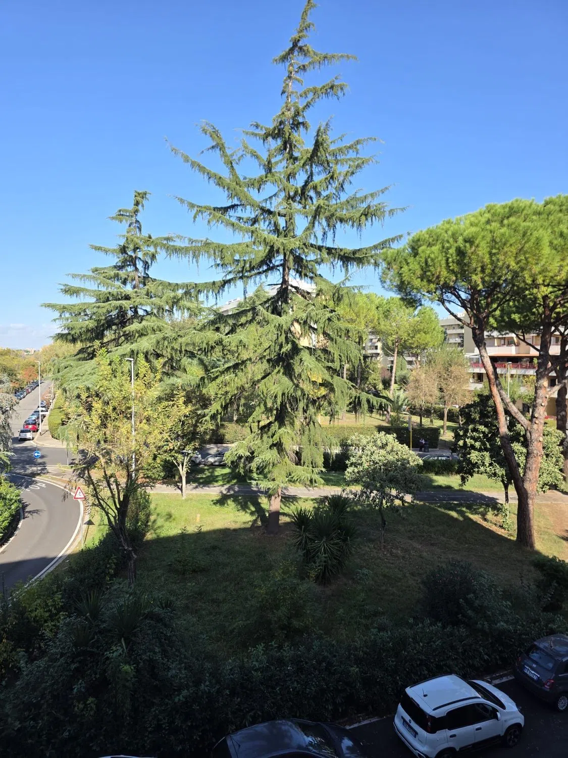 Appartamento in viale Battista Bardanzellu - Photo 3