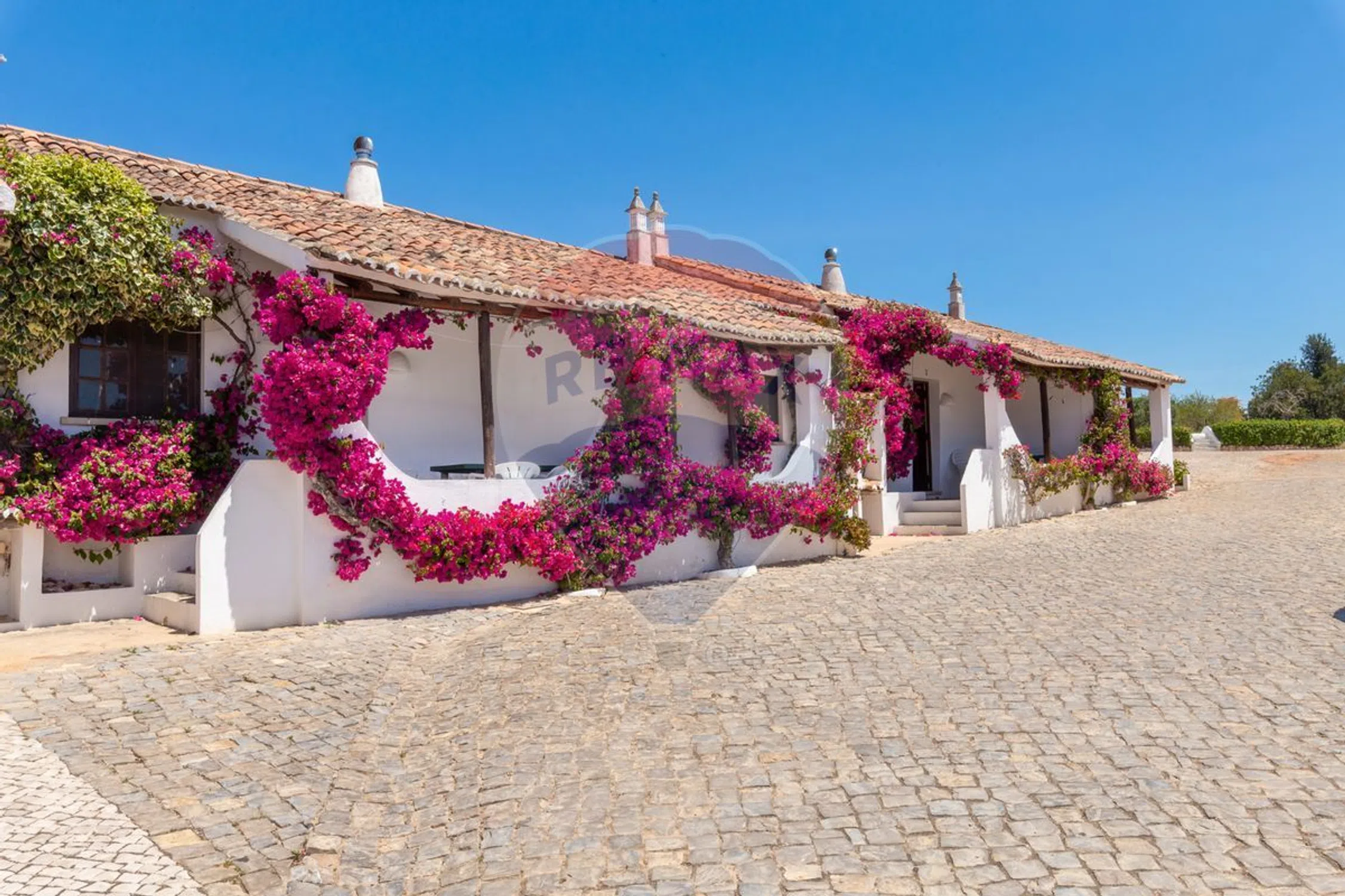 Quinta - Photo 2